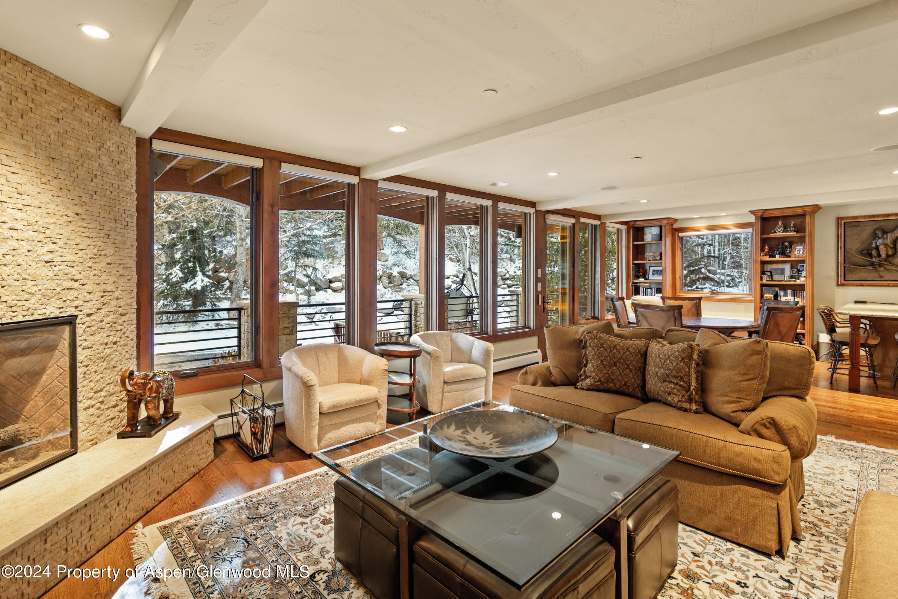 315 S First Street, Aspen, CO 81611 - Photo 17