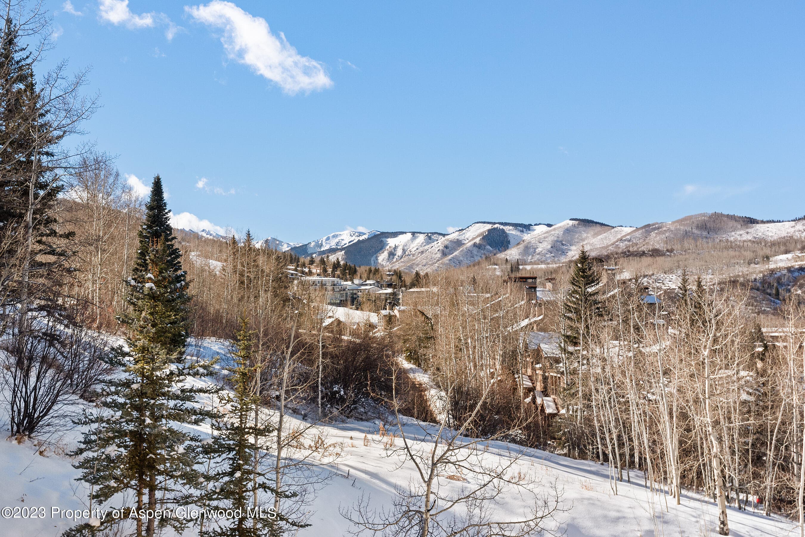 476 WOOD Road 30, Snowmass Village, CO 81615 - Photo 29