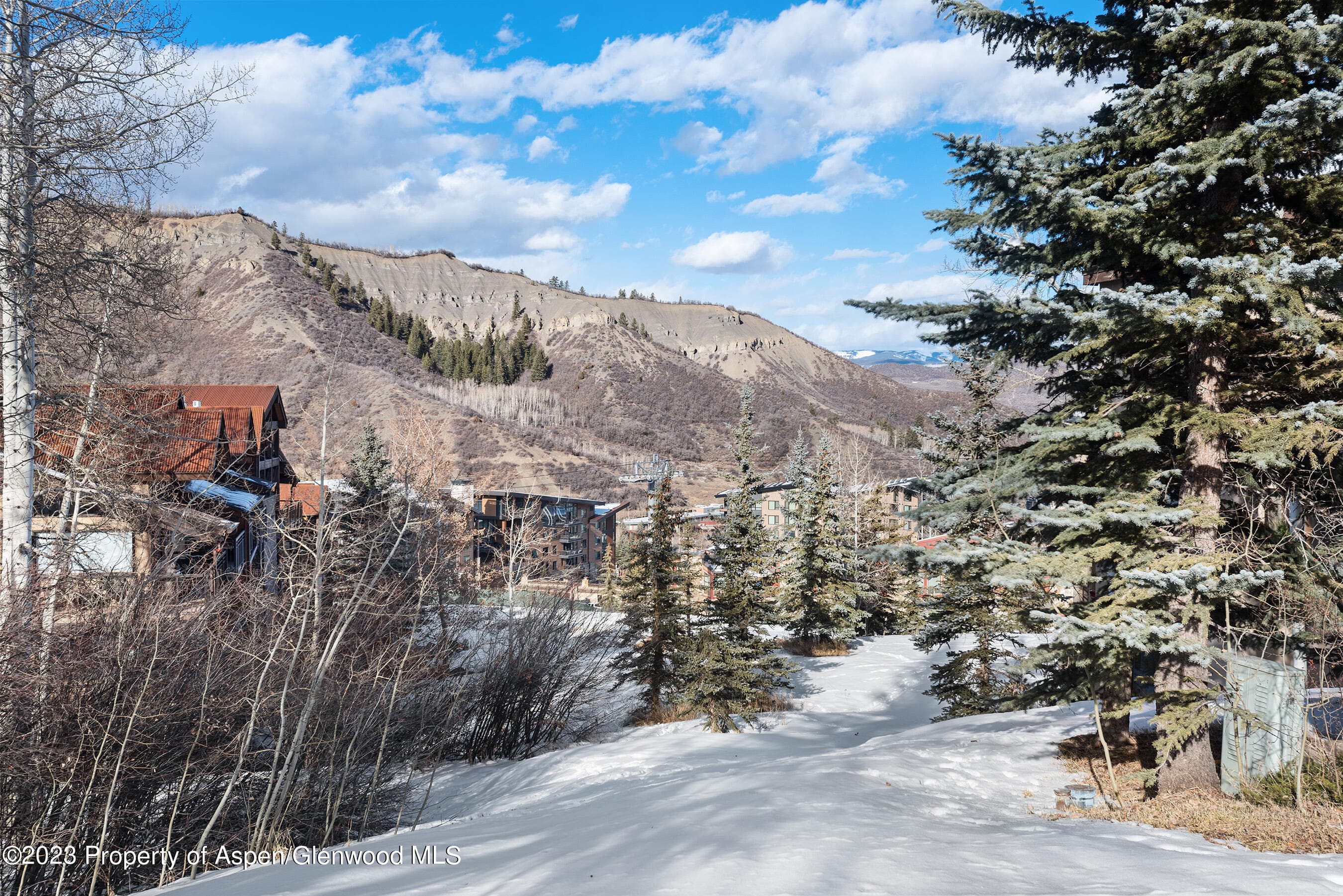 476 WOOD Road 30, Snowmass Village, CO 81615 - Photo 31