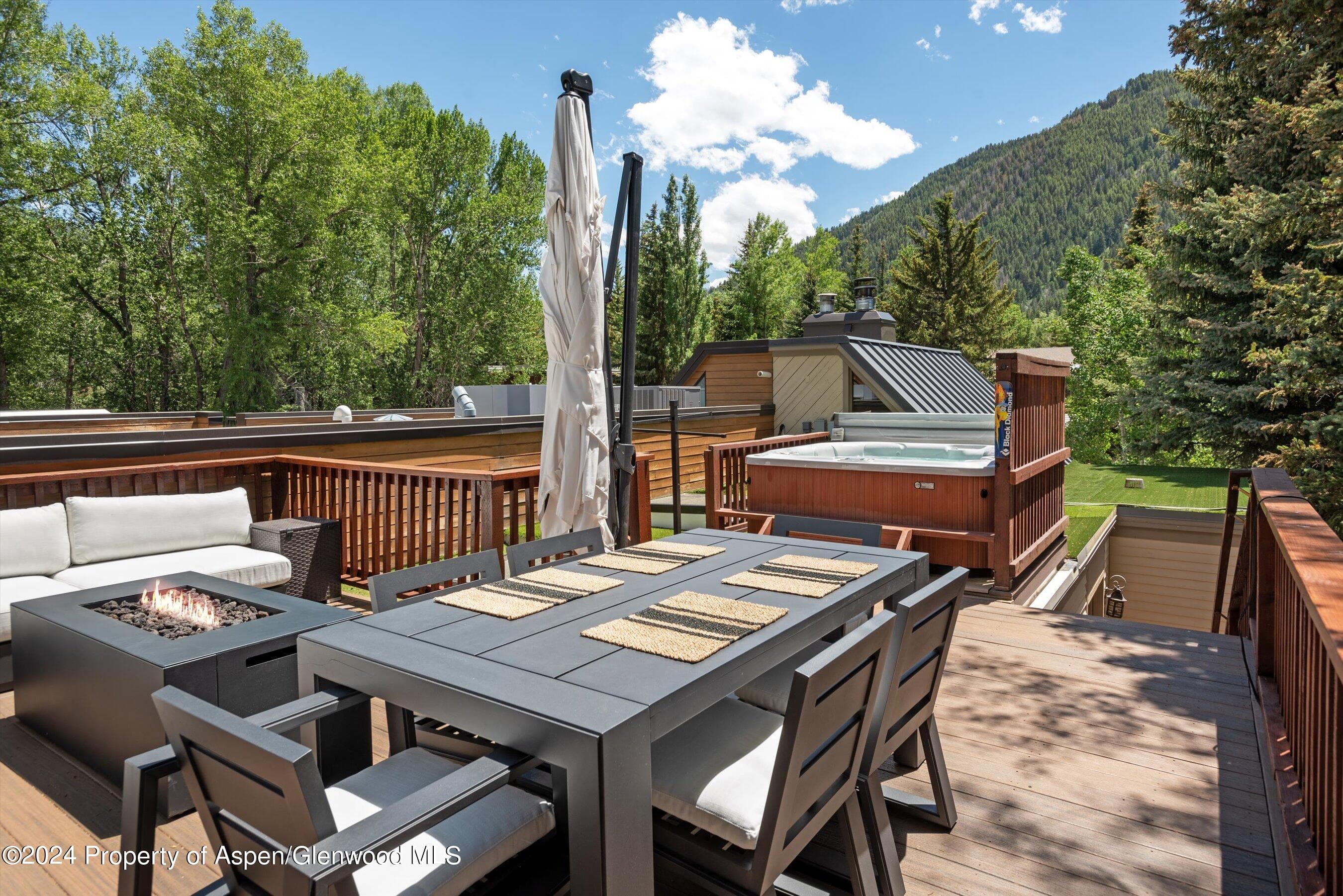 1016 E Hyman Avenue 2, Aspen, CO 81611 - Photo 19