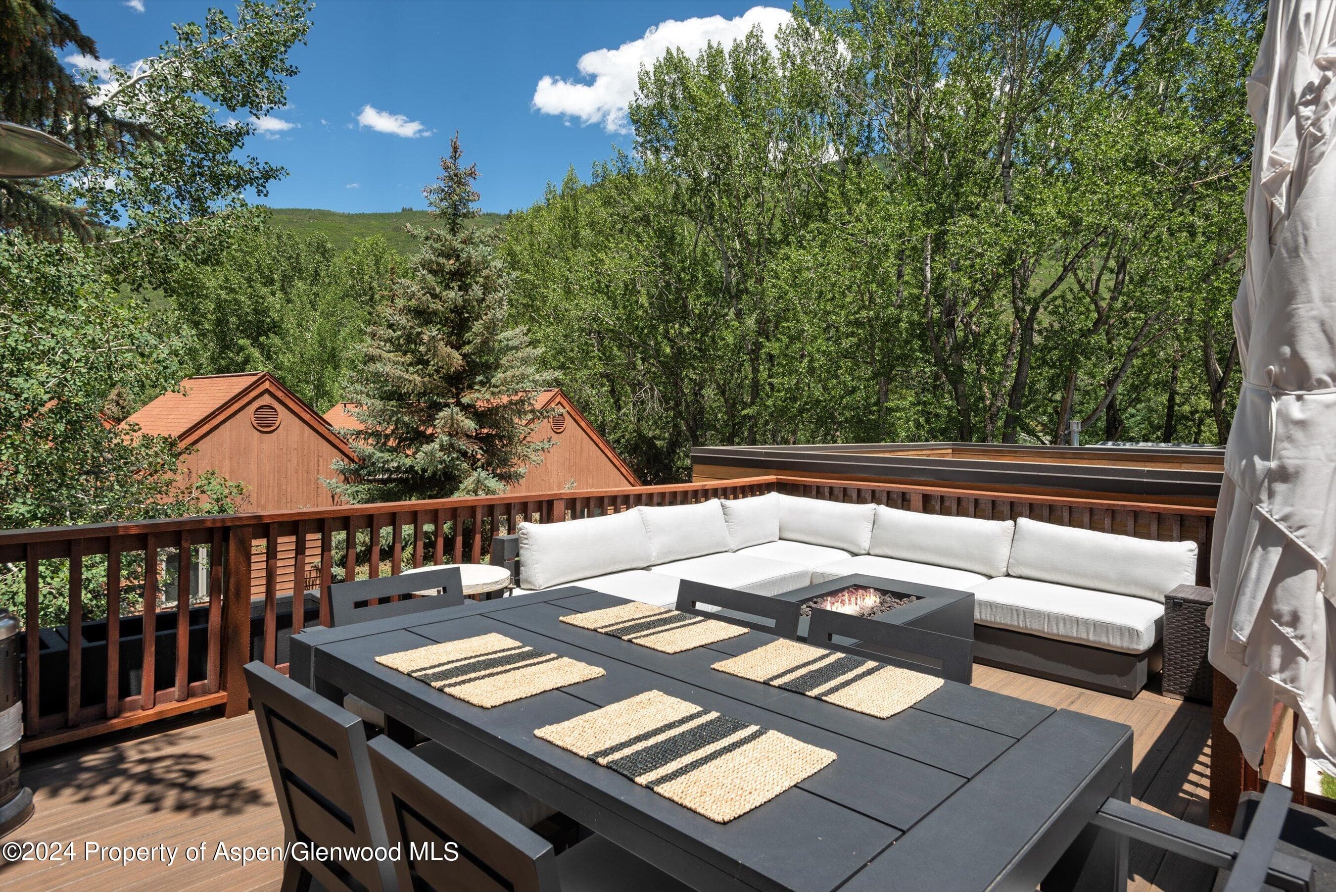 1016 E Hyman Avenue 2, Aspen, CO 81611 - Photo 17