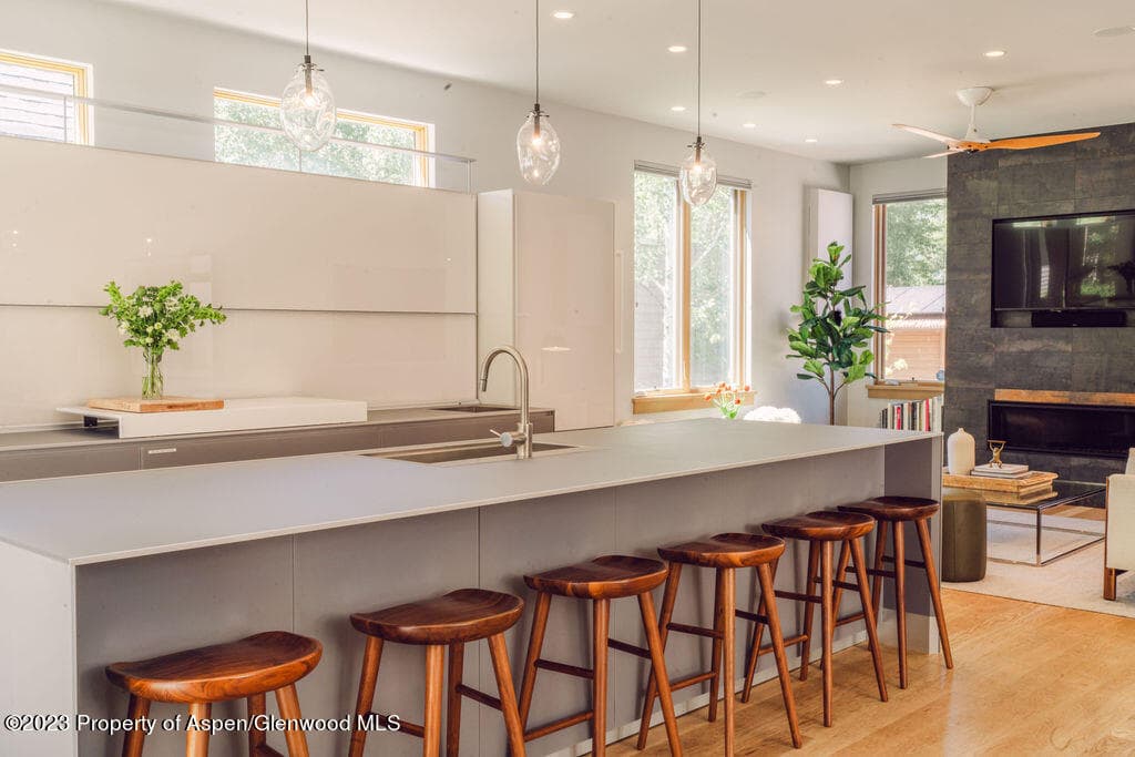 1006 E Cooper Avenue, Aspen, CO 81611 - Photo 15