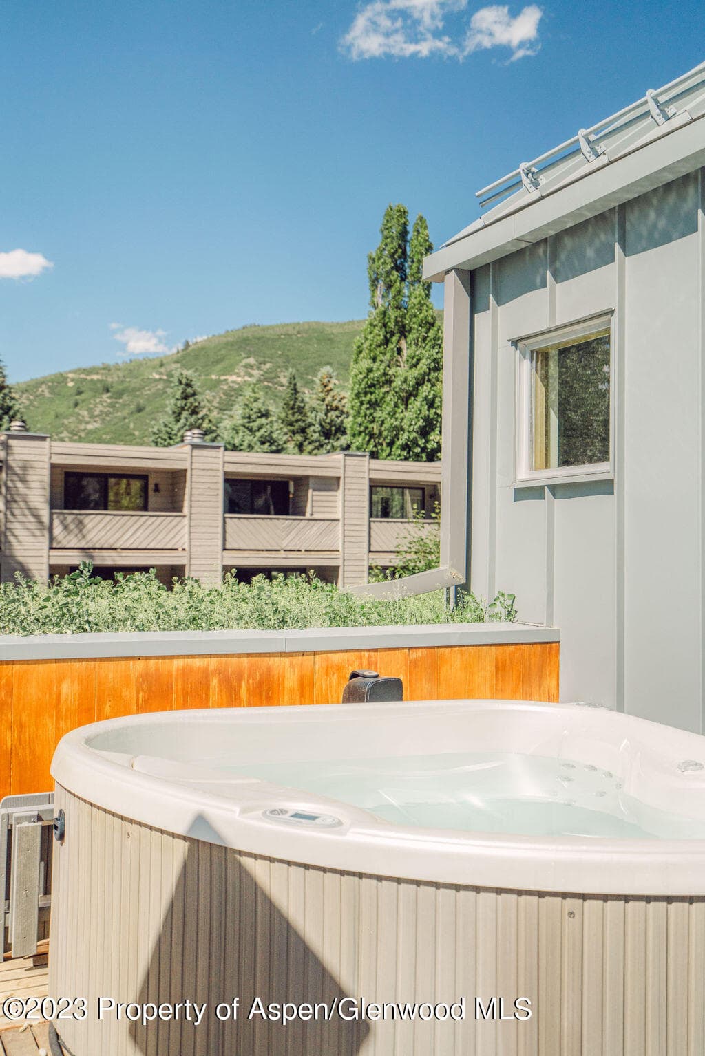 1006 E Cooper Avenue, Aspen, CO 81611 - Photo 36