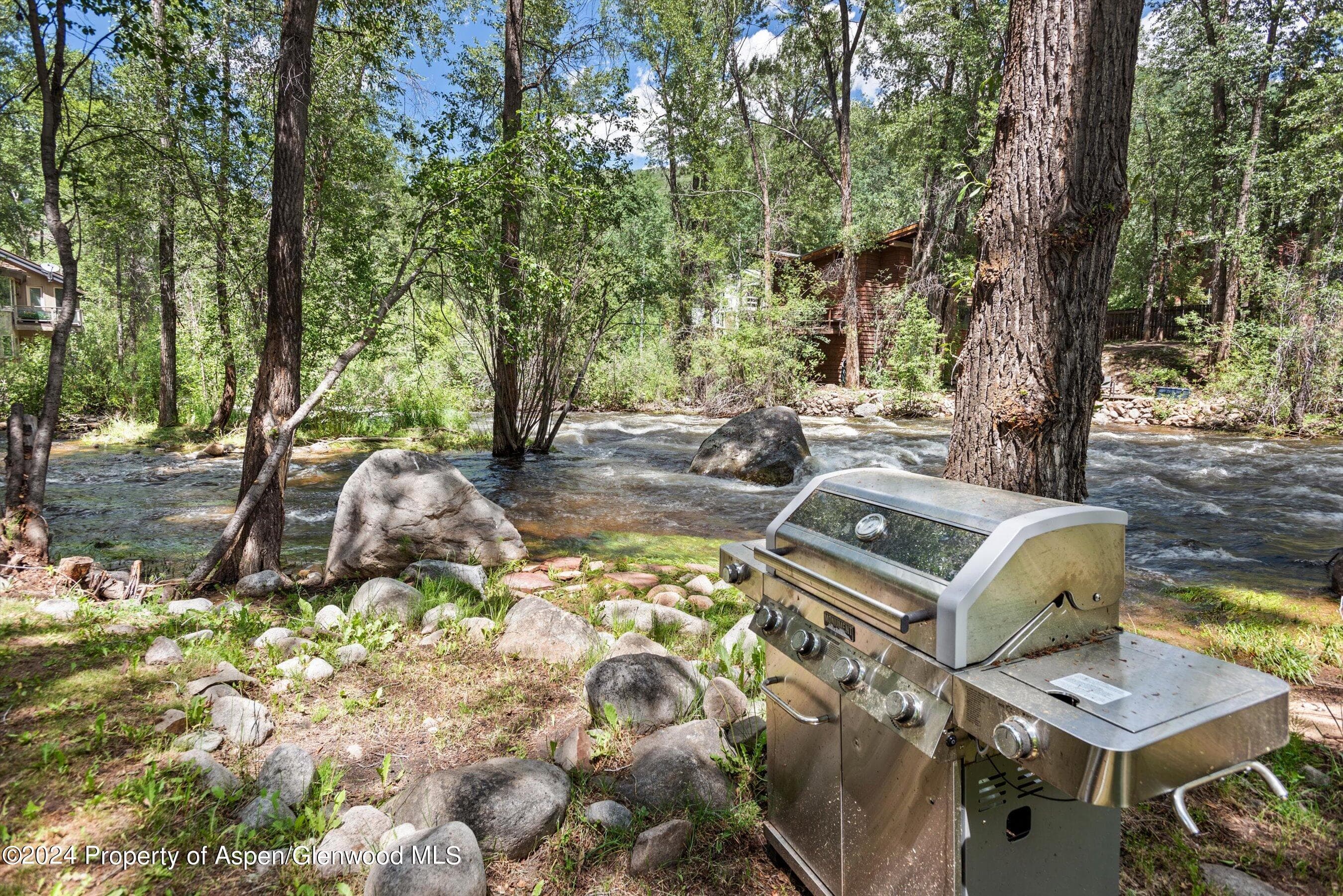 1020 E Hyman Units 1 & 2, Aspen, CO 81611 - Photo 40