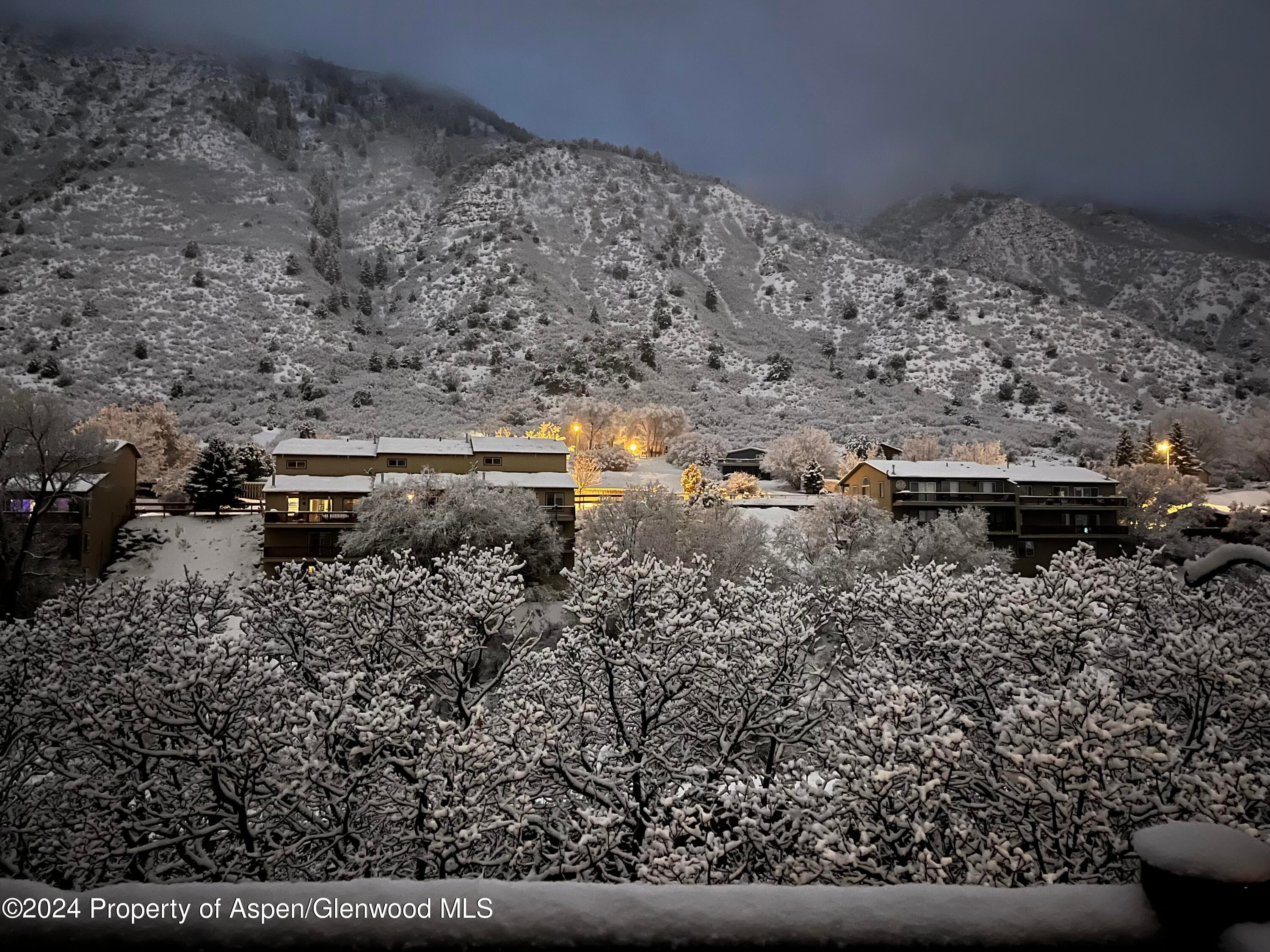 2503 CISAR Court 2F, Glenwood Springs, CO 81601 - Photo 22