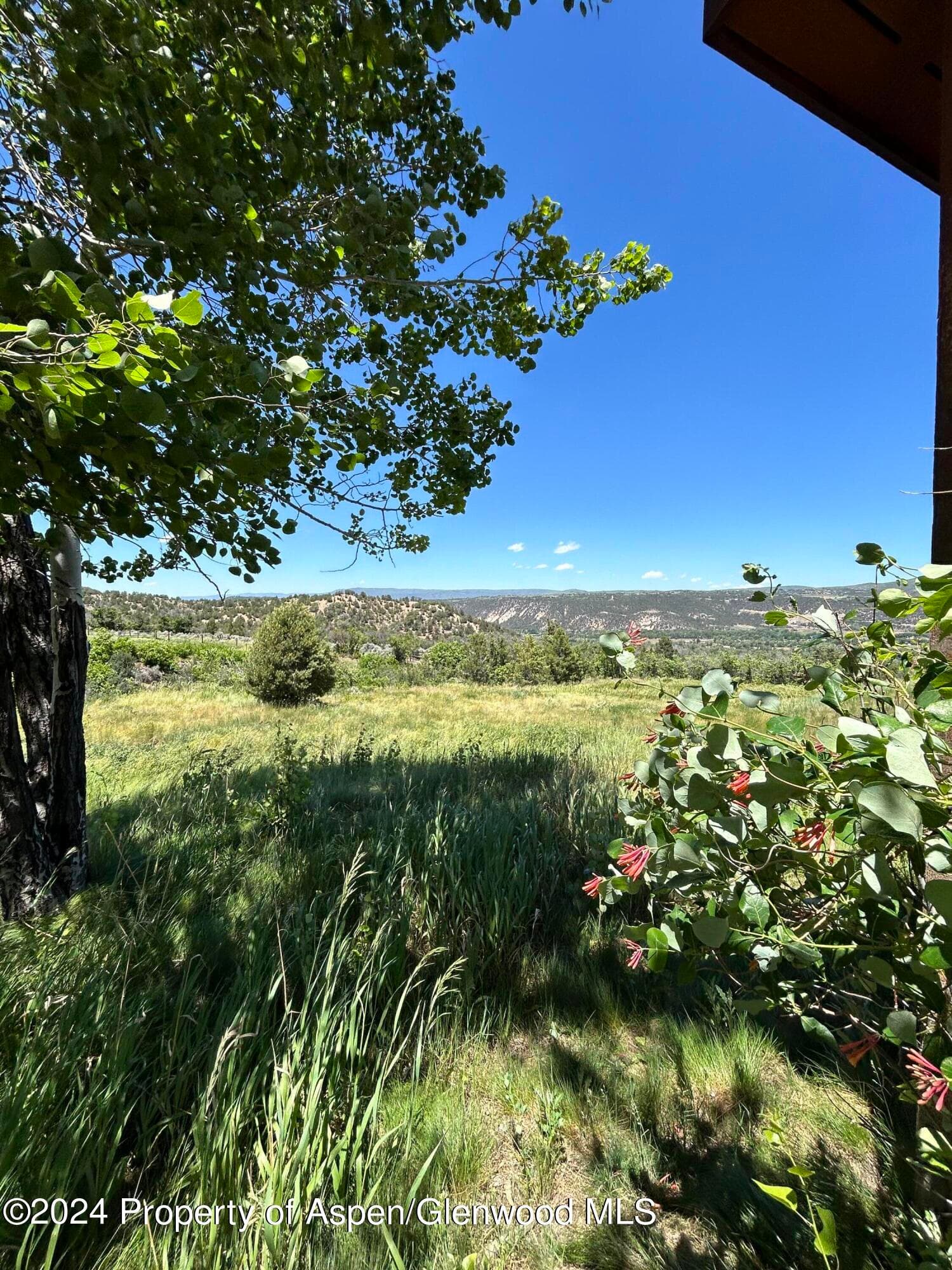1434 Hooks Spur Road, Basalt, CO 81621 - Photo 23