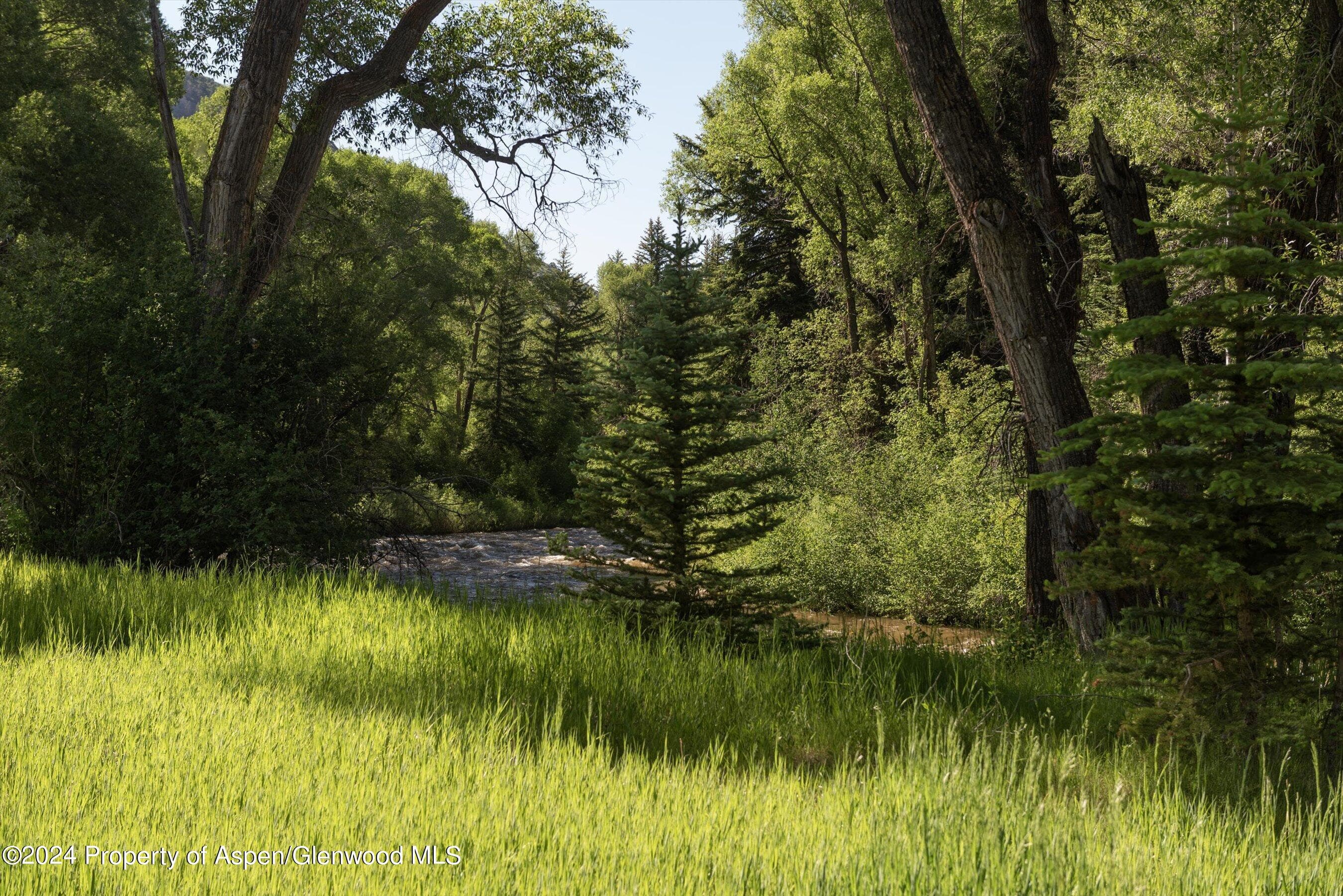 TBD Lower River Road Lot 3, Snowmass, CO 81654 - Photo 4