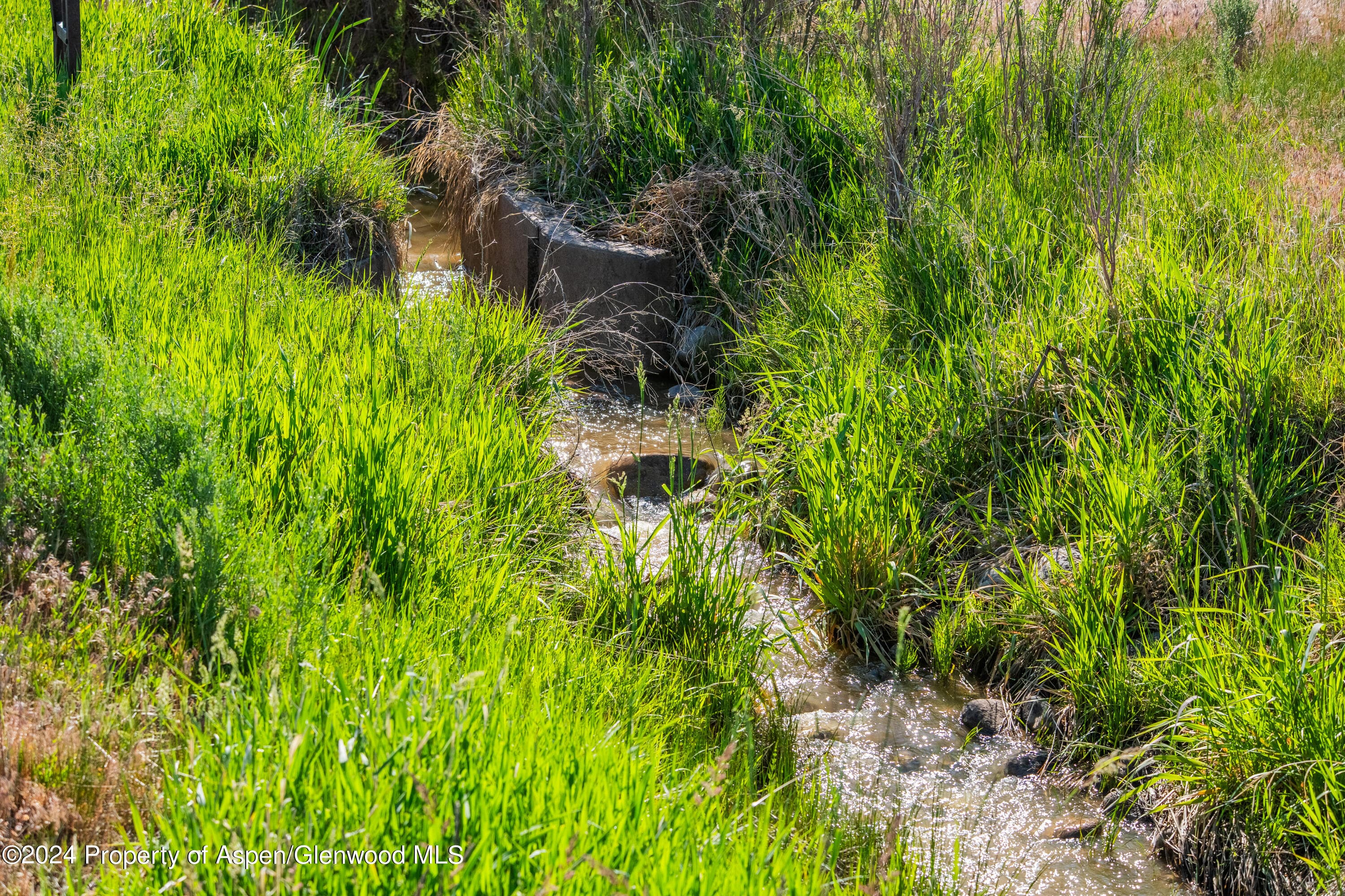 584 COUNTY ROAD 331, Silt, CO 81652 - Photo 7