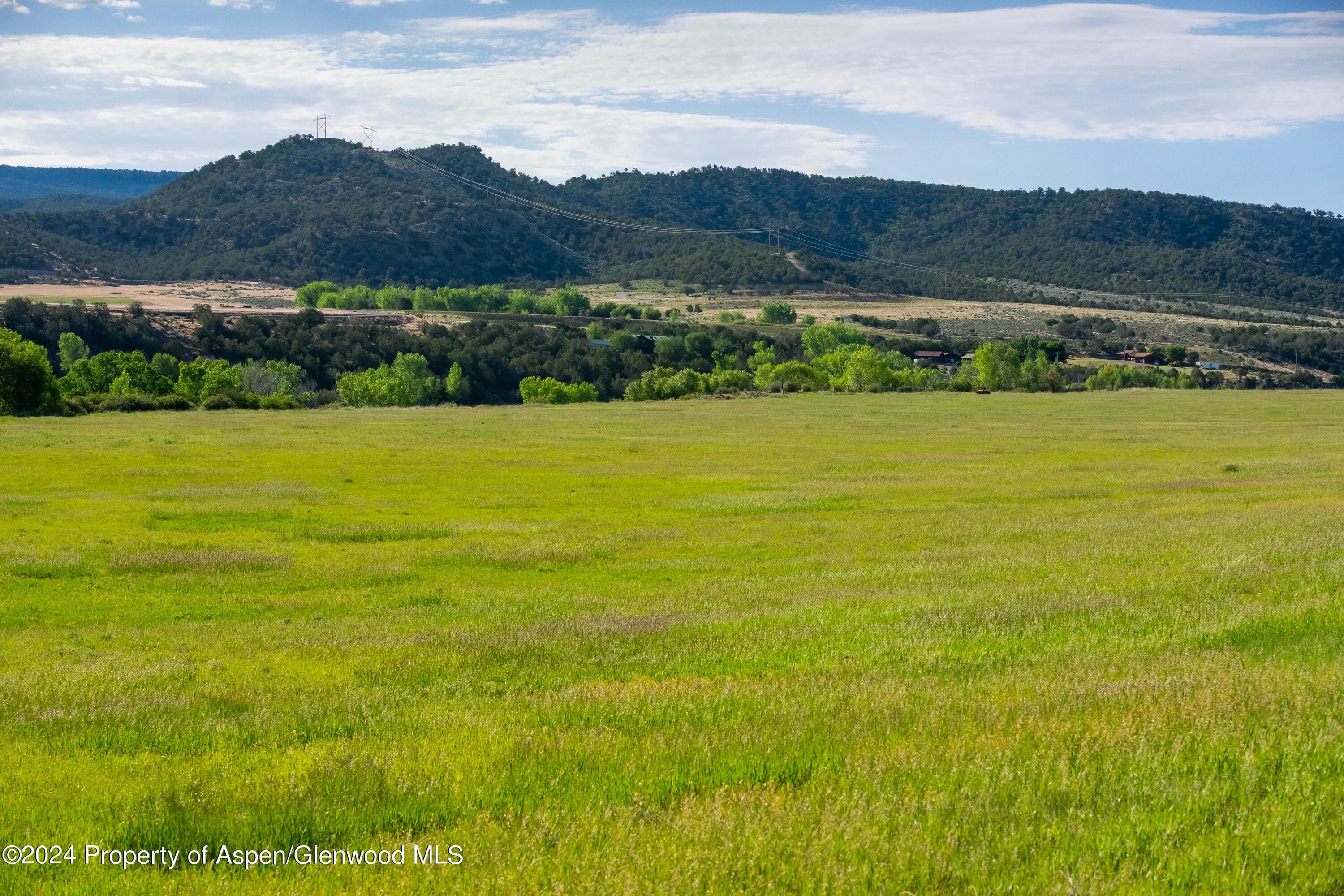 584 COUNTY ROAD 331, Silt, CO 81652 - Photo 4