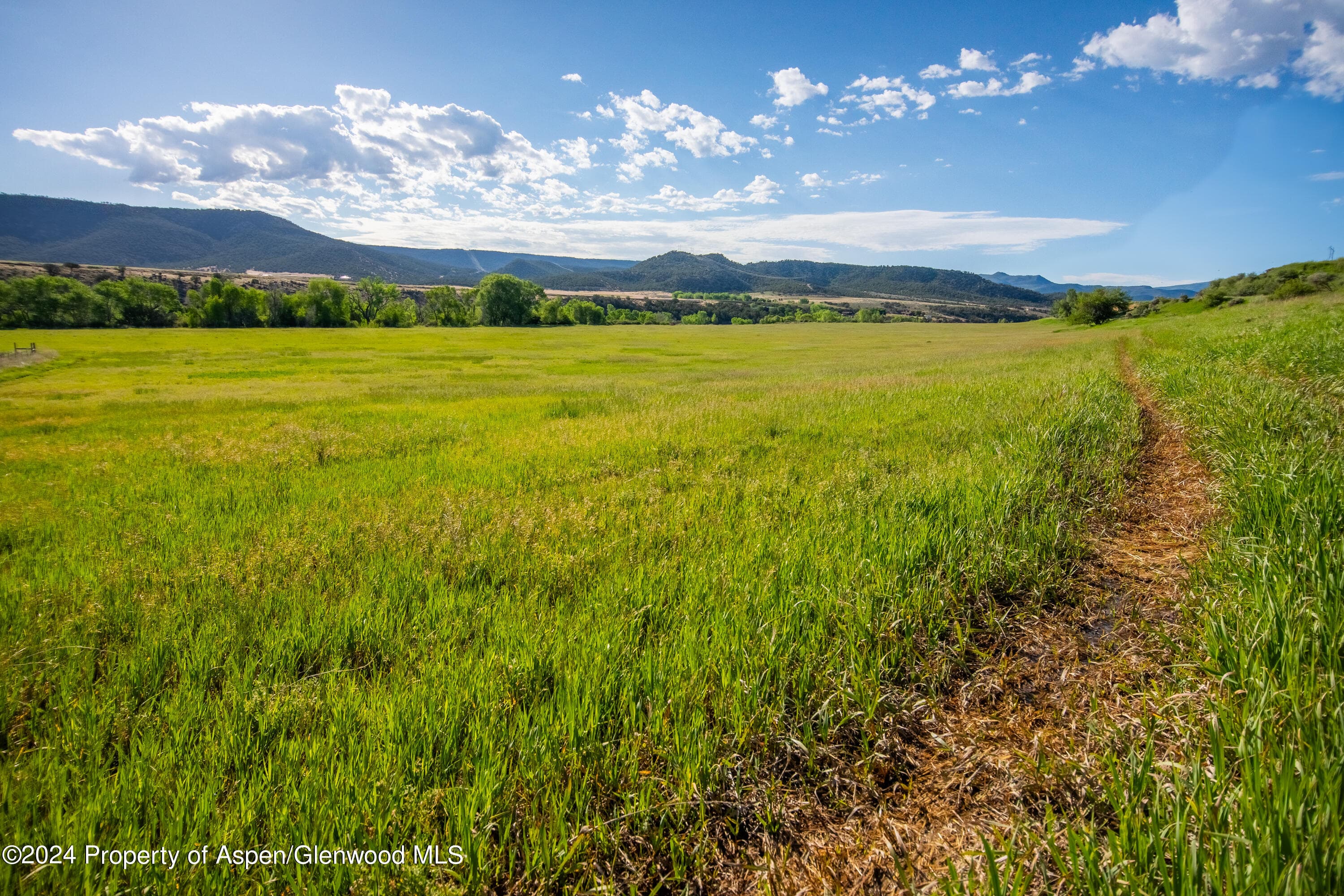 584 COUNTY ROAD 331, Silt, CO 81652 - Photo 14
