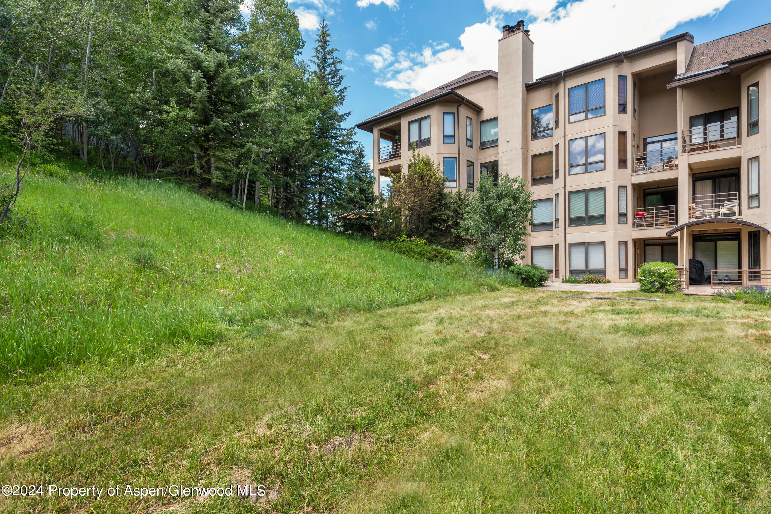 476 WOOD Road 30, Snowmass Village, CO 81615 - Photo 21