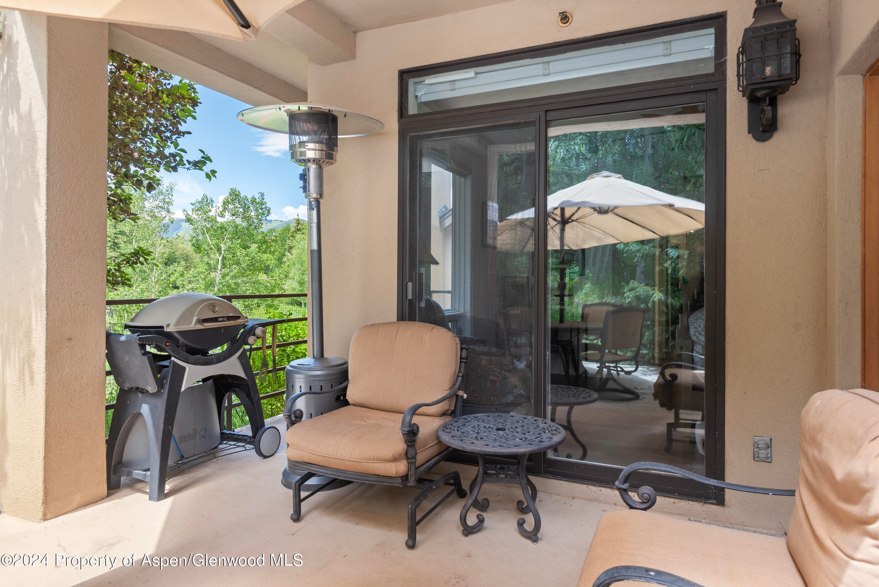 476 WOOD Road 30, Snowmass Village, CO 81615 - Photo 7