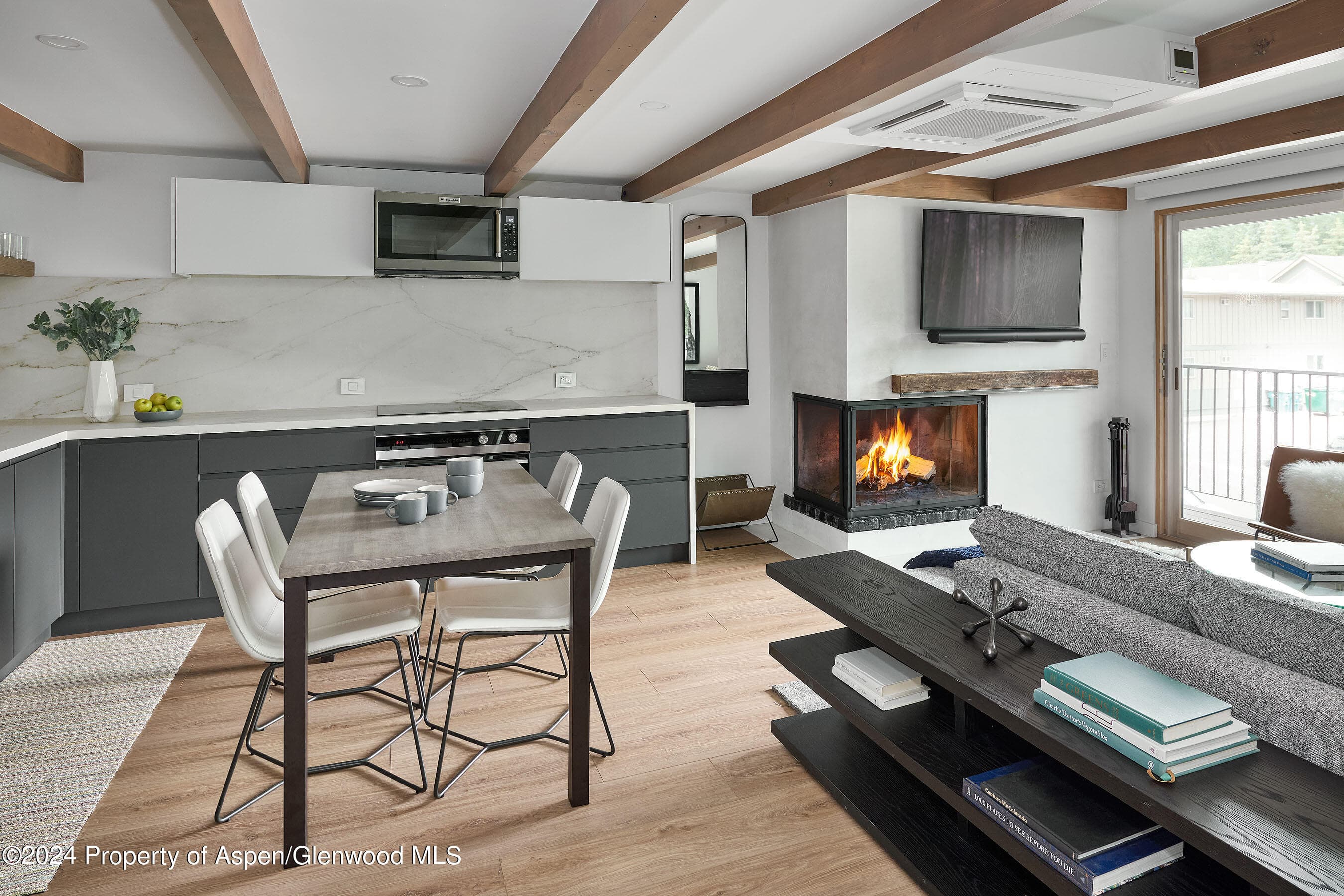 901 E Hyman Avenue 5, Aspen, CO 81611 - Photo 3