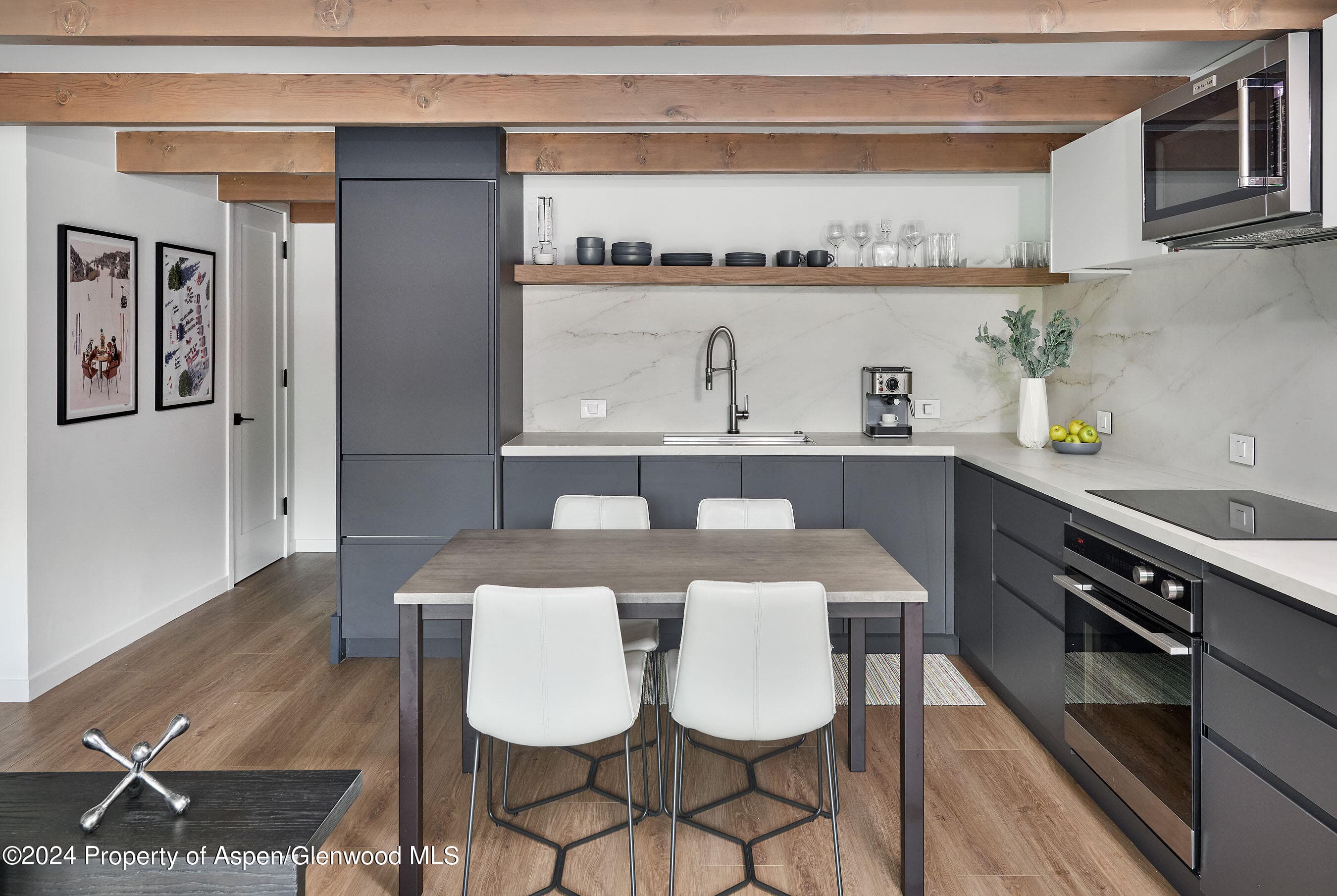 901 E Hyman Avenue 5, Aspen, CO 81611 - Photo 5