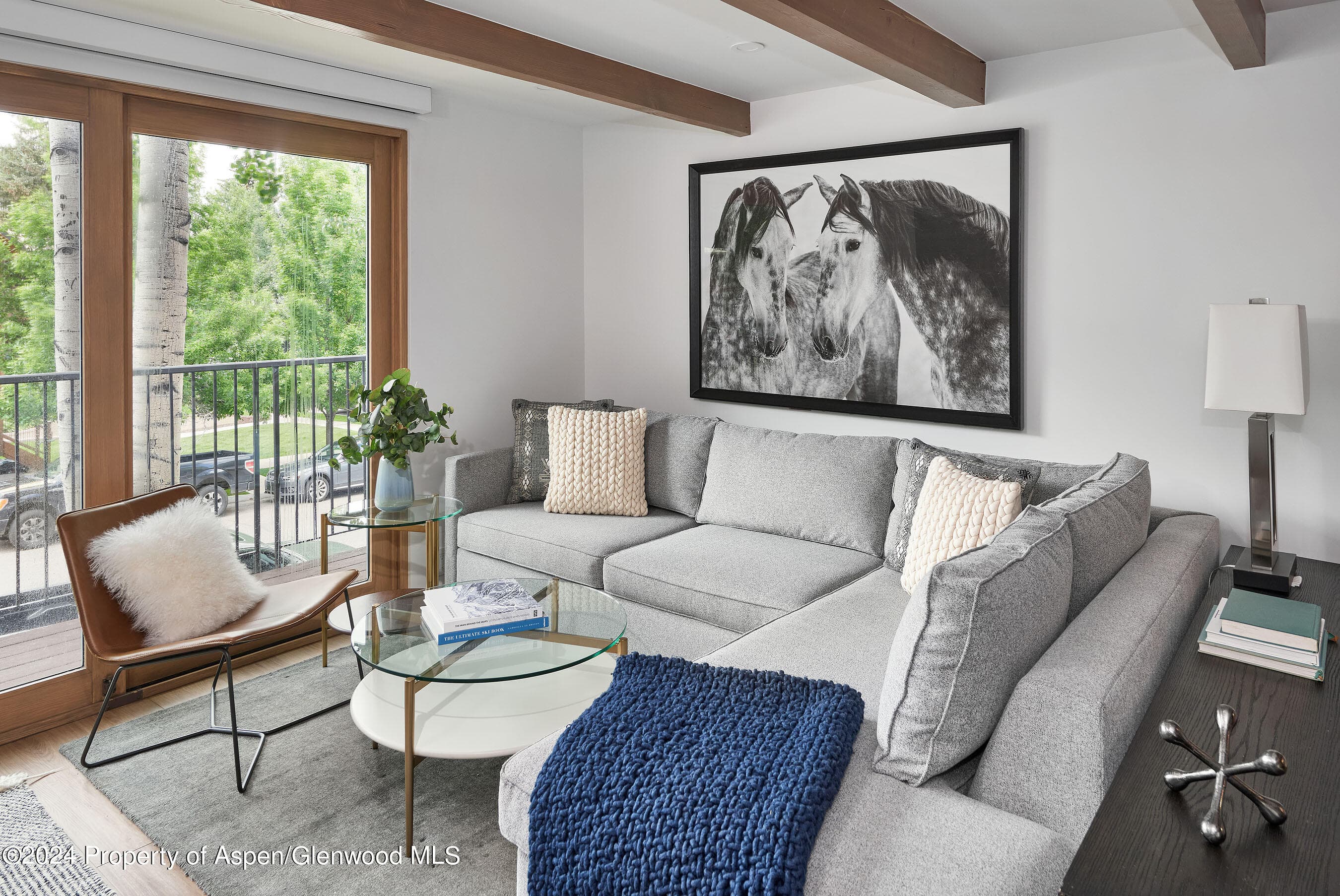 901 E Hyman Avenue 5, Aspen, CO 81611 - Photo 2