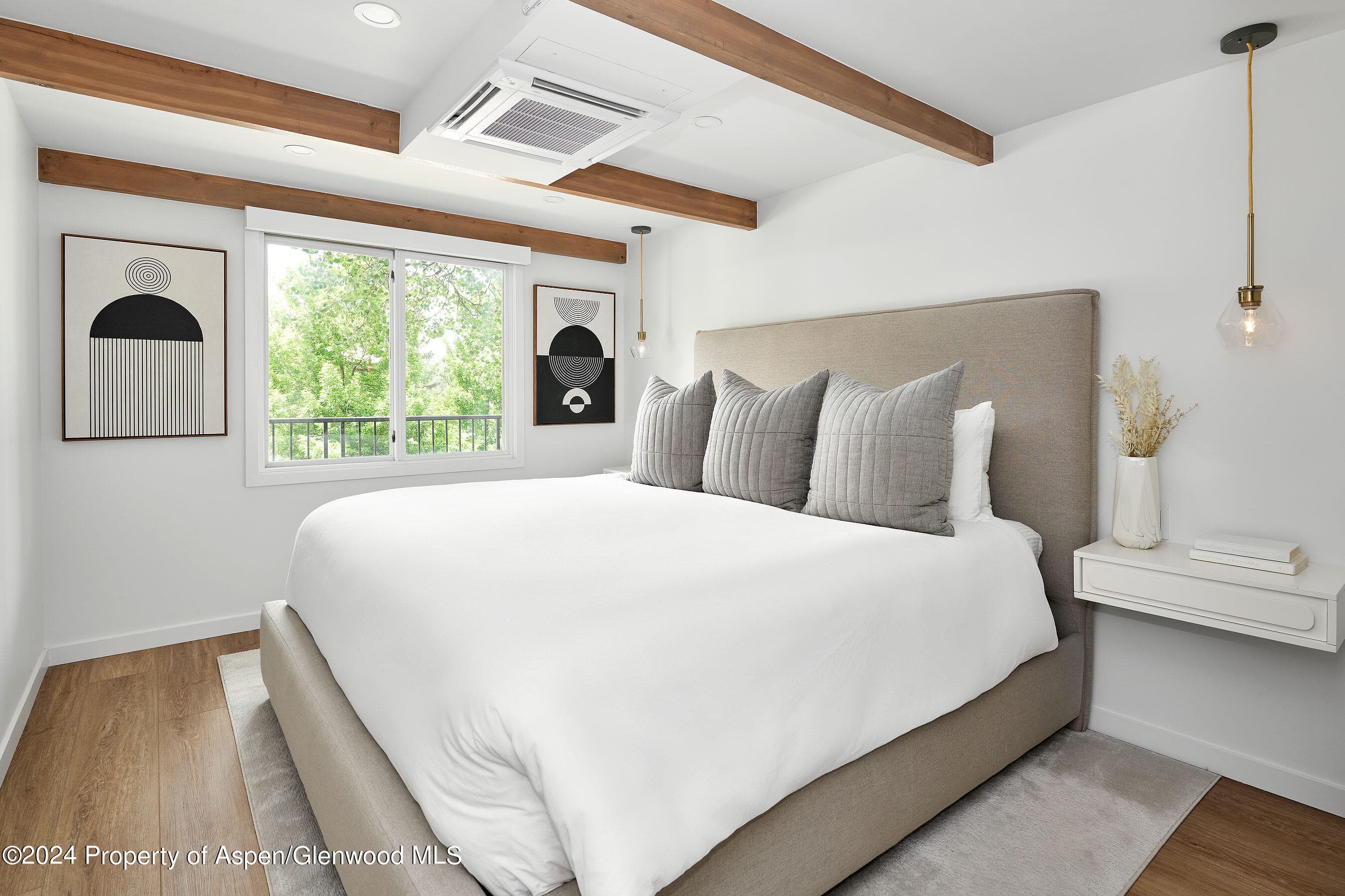 901 E Hyman Avenue 5, Aspen, CO 81611 - Photo 6