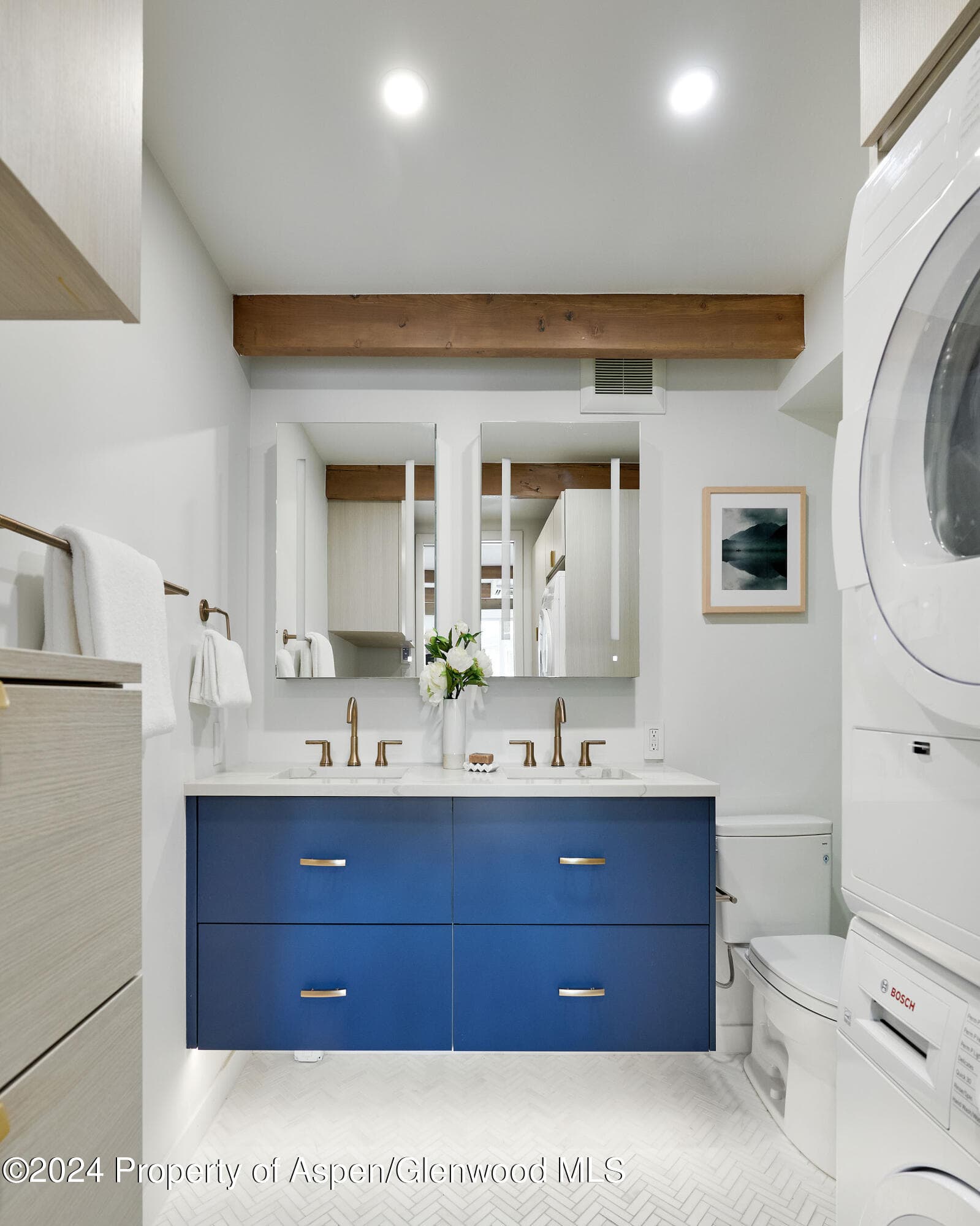 901 E Hyman Avenue 5, Aspen, CO 81611 - Photo 7