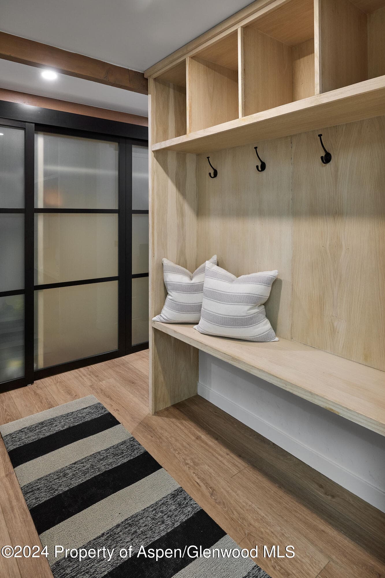 901 E Hyman Avenue 5, Aspen, CO 81611 - Photo 12