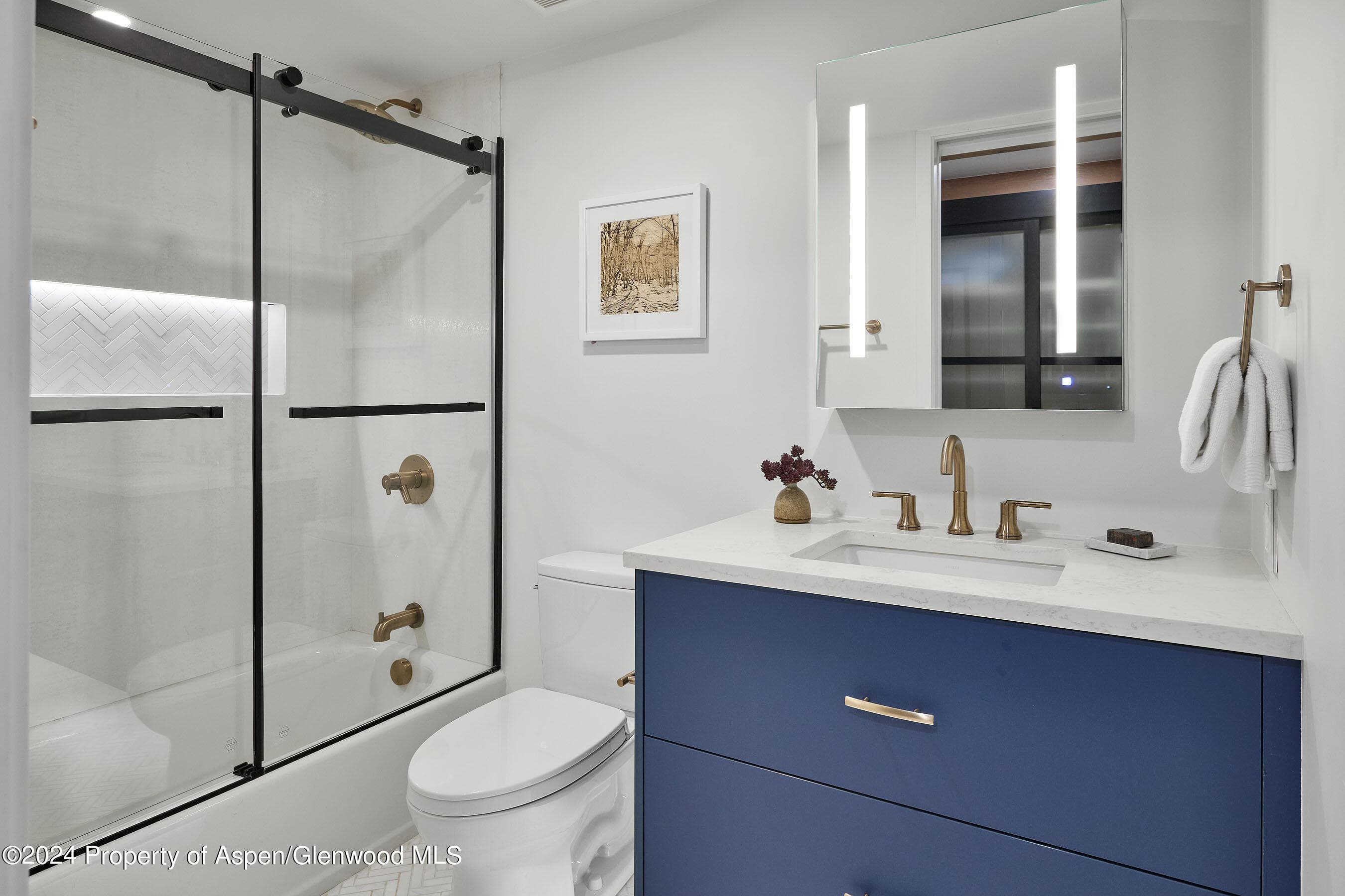 901 E Hyman Avenue 5, Aspen, CO 81611 - Photo 11