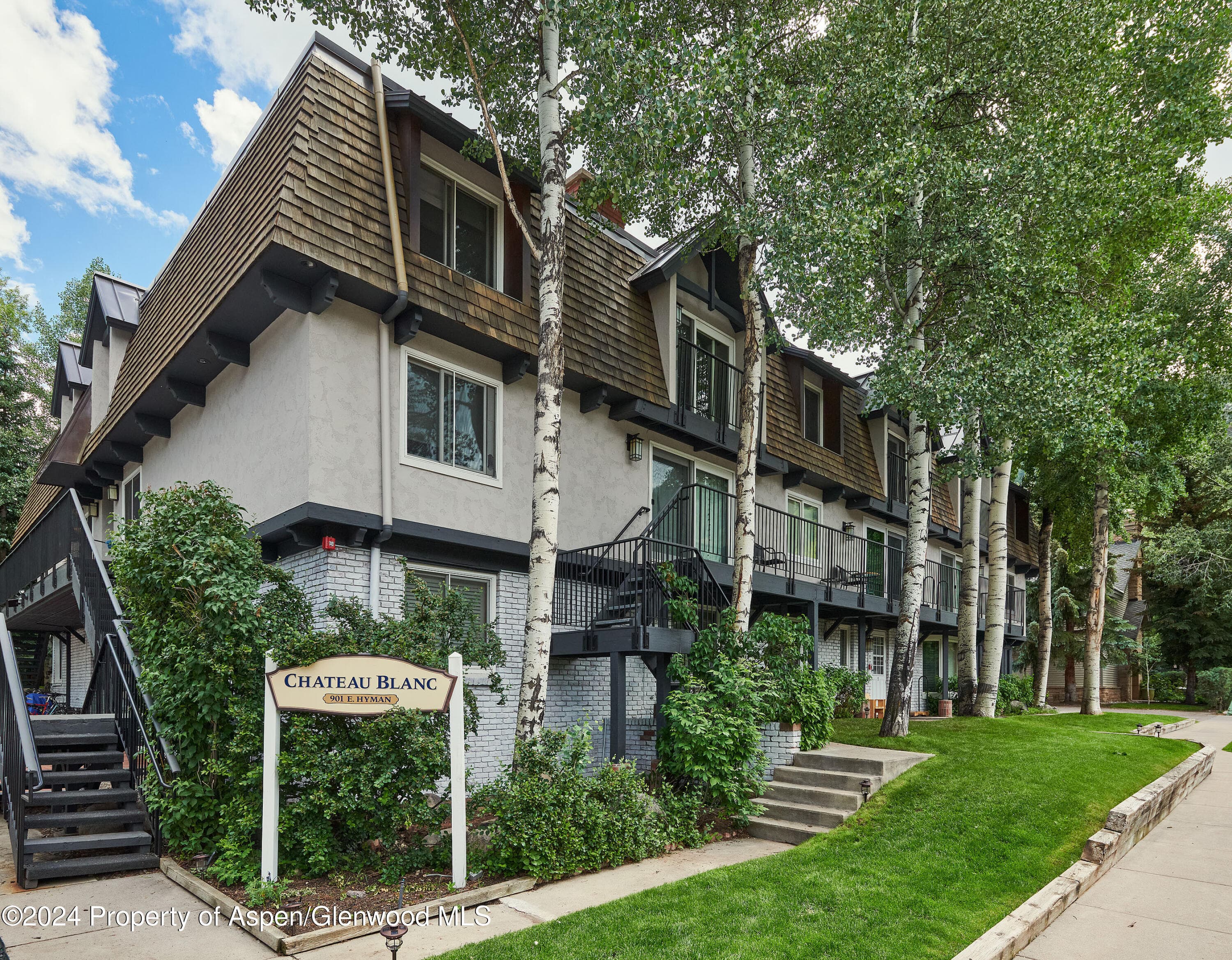 901 E Hyman Avenue 5, Aspen, CO 81611 - Photo 13