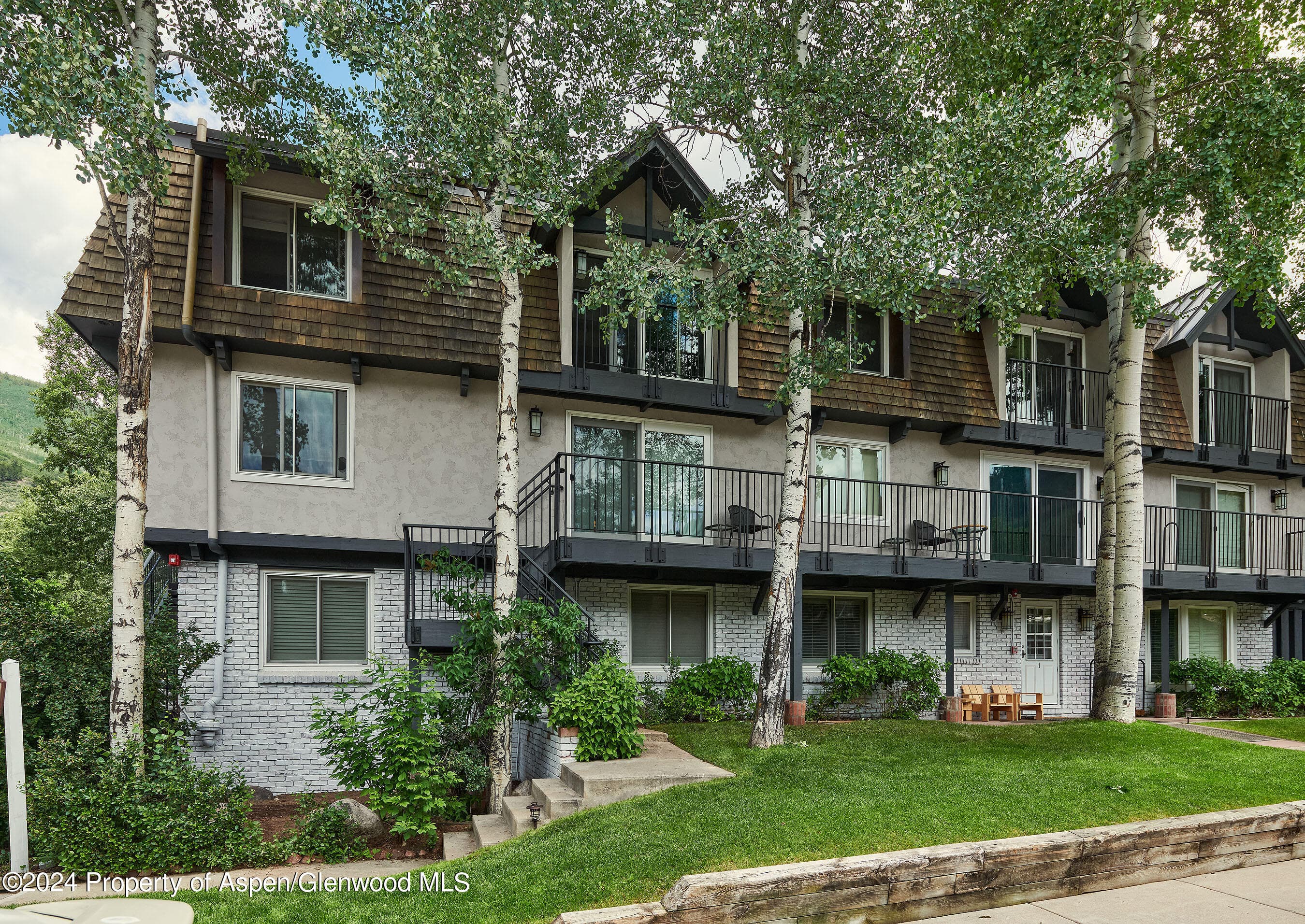 901 E Hyman Avenue 5, Aspen, CO 81611 - Photo 14