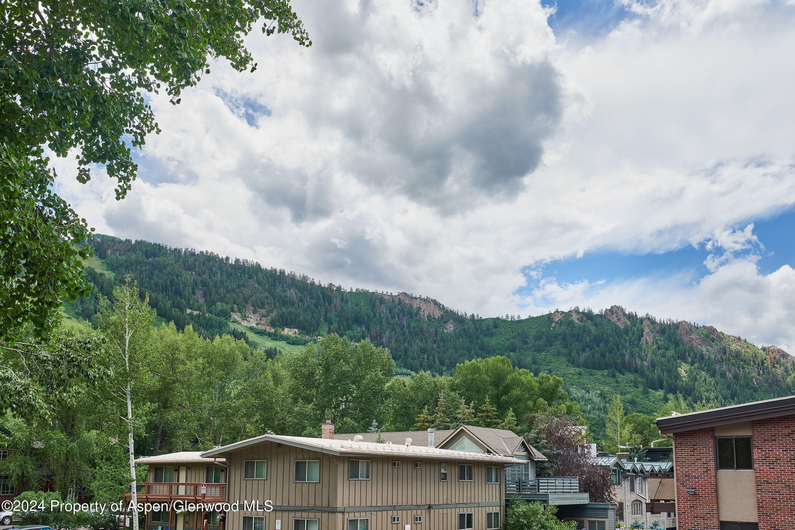 901 E Hyman Avenue 5, Aspen, CO 81611 - Photo 18