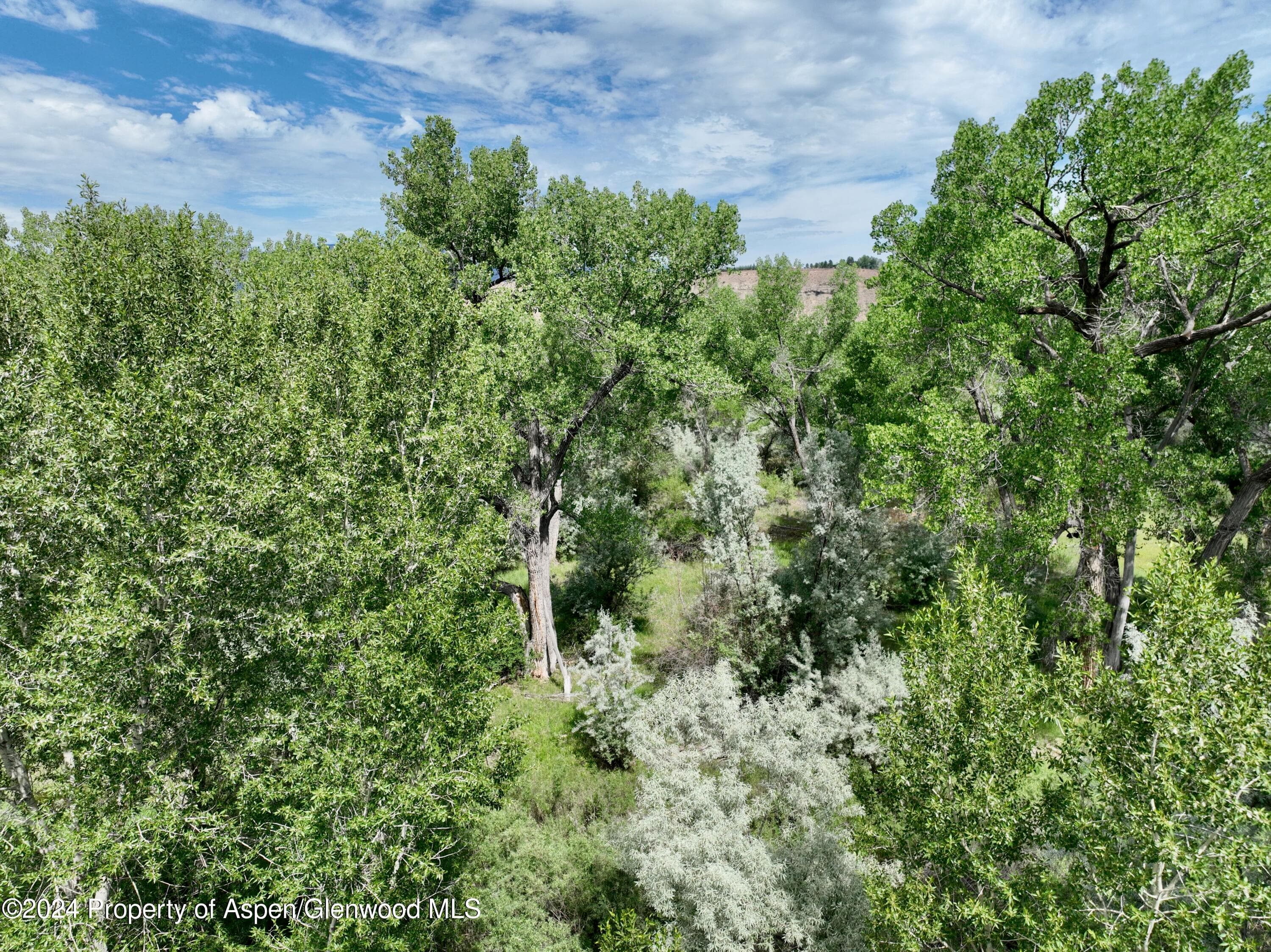 1797 N County Road 346, Rifle, CO 81650 - Photo 11