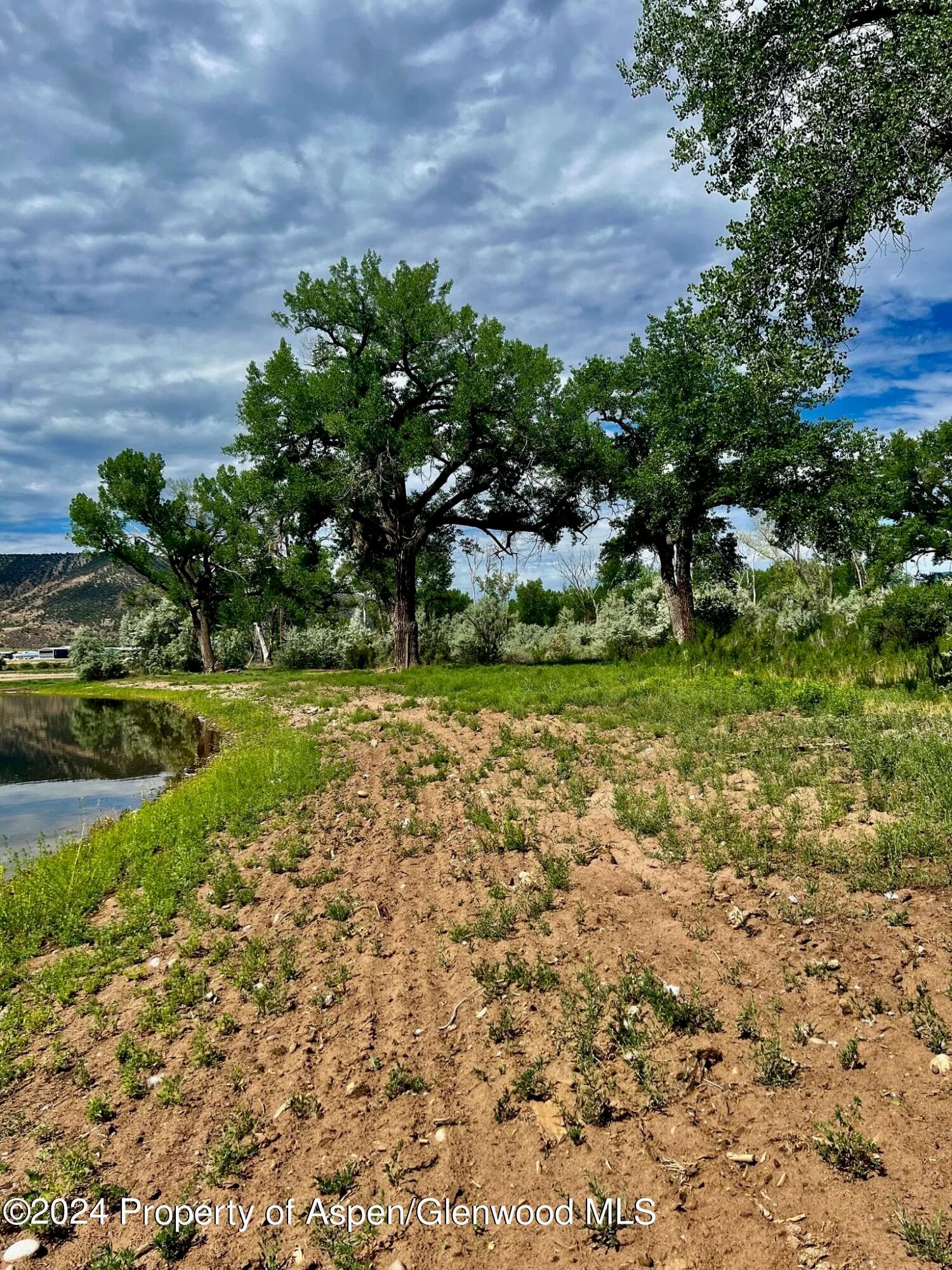 1797 N County Road 346, Rifle, CO 81650 - Photo 16