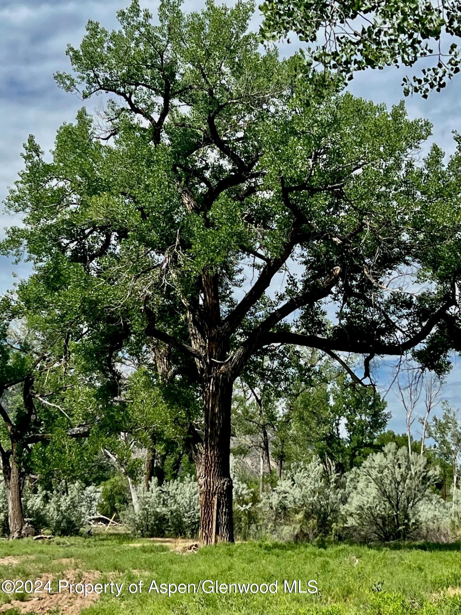 1797 N County Road 346, Rifle, CO 81650 - Photo 17
