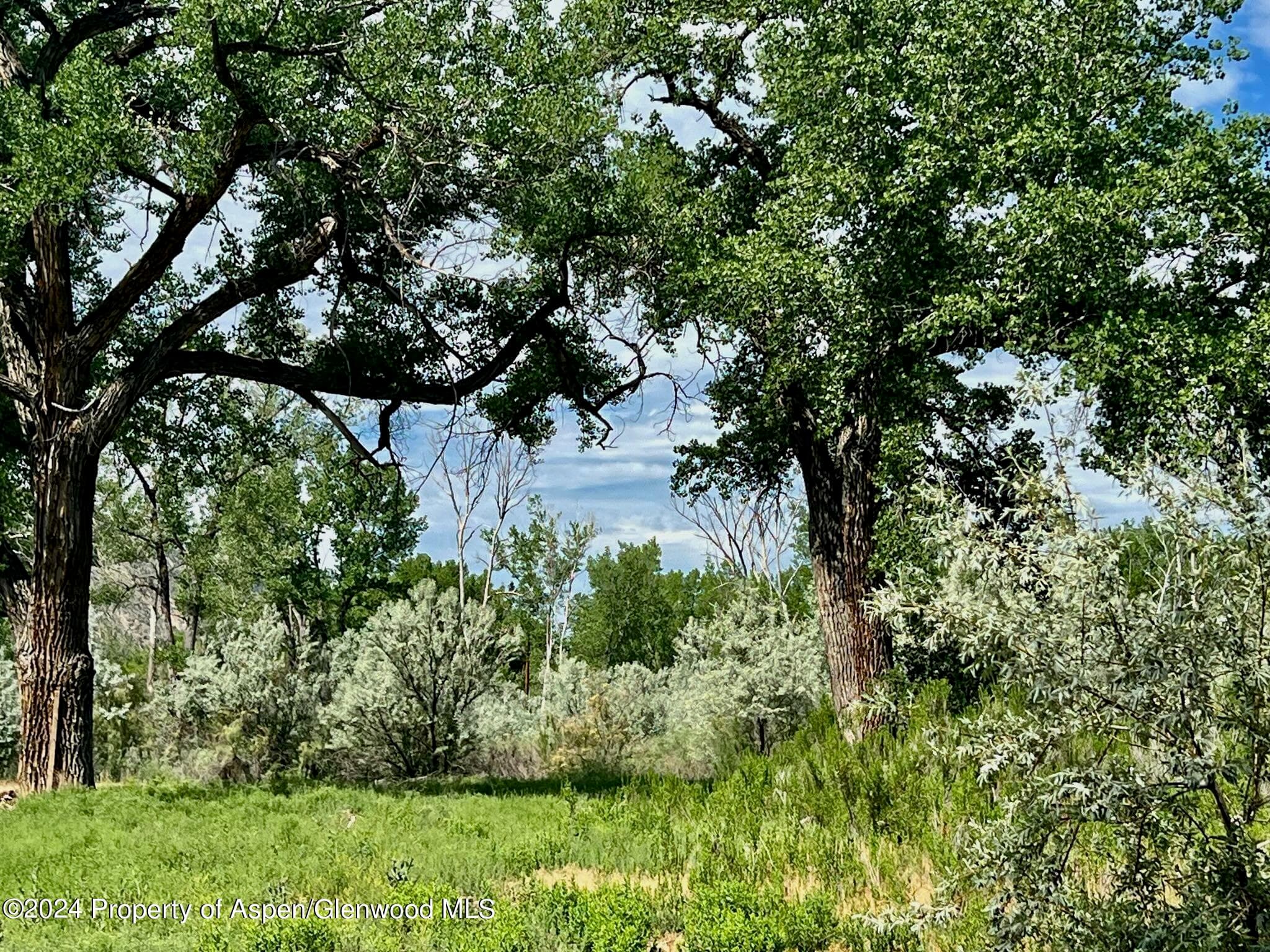 1797 N County Road 346, Rifle, CO 81650 - Photo 18