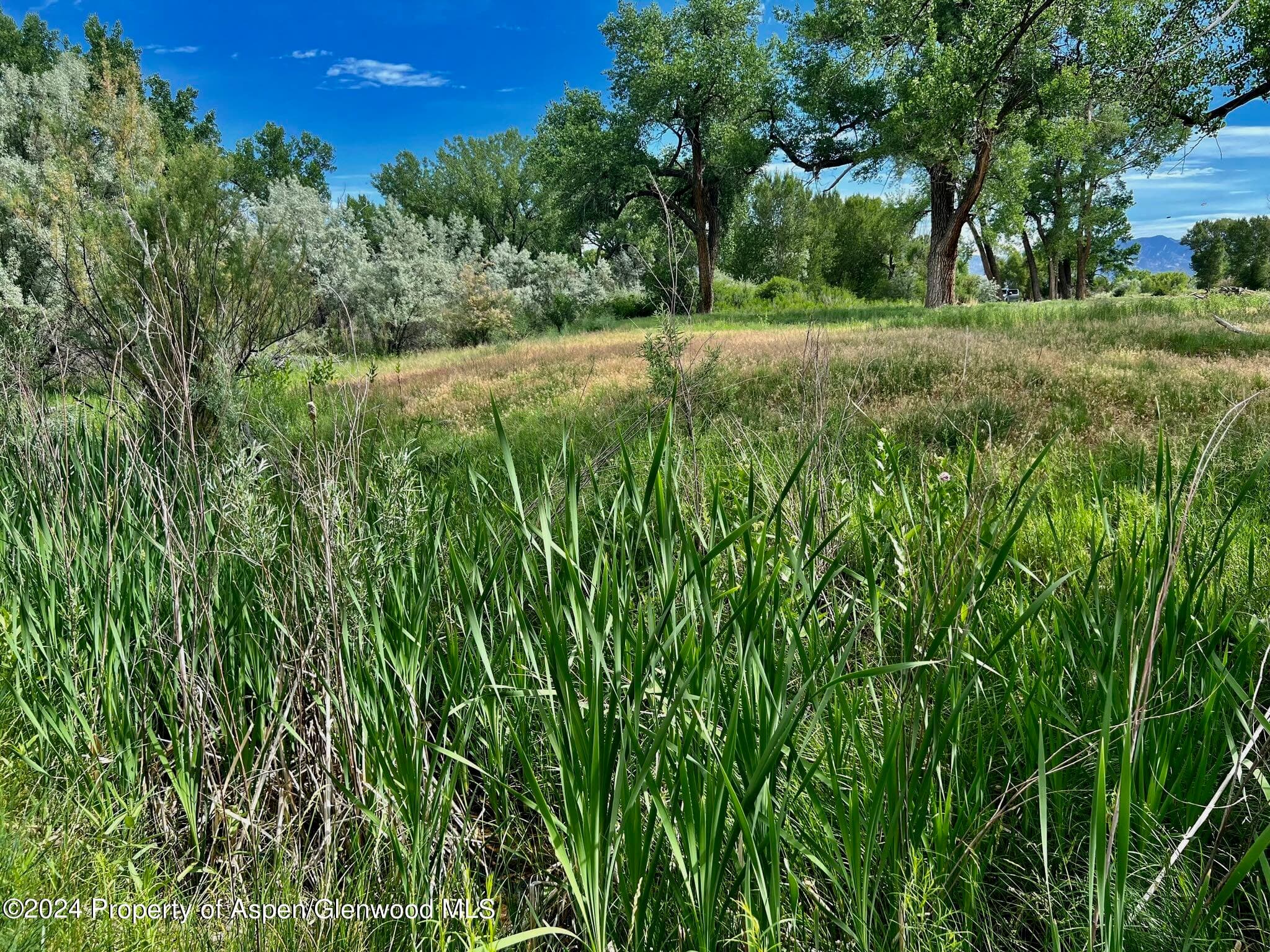 1797 N County Road 346, Rifle, CO 81650 - Photo 29