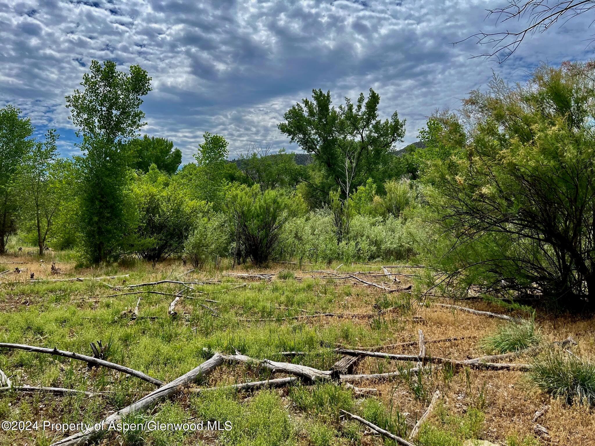 1797 N County Road 346, Rifle, CO 81650 - Photo 35
