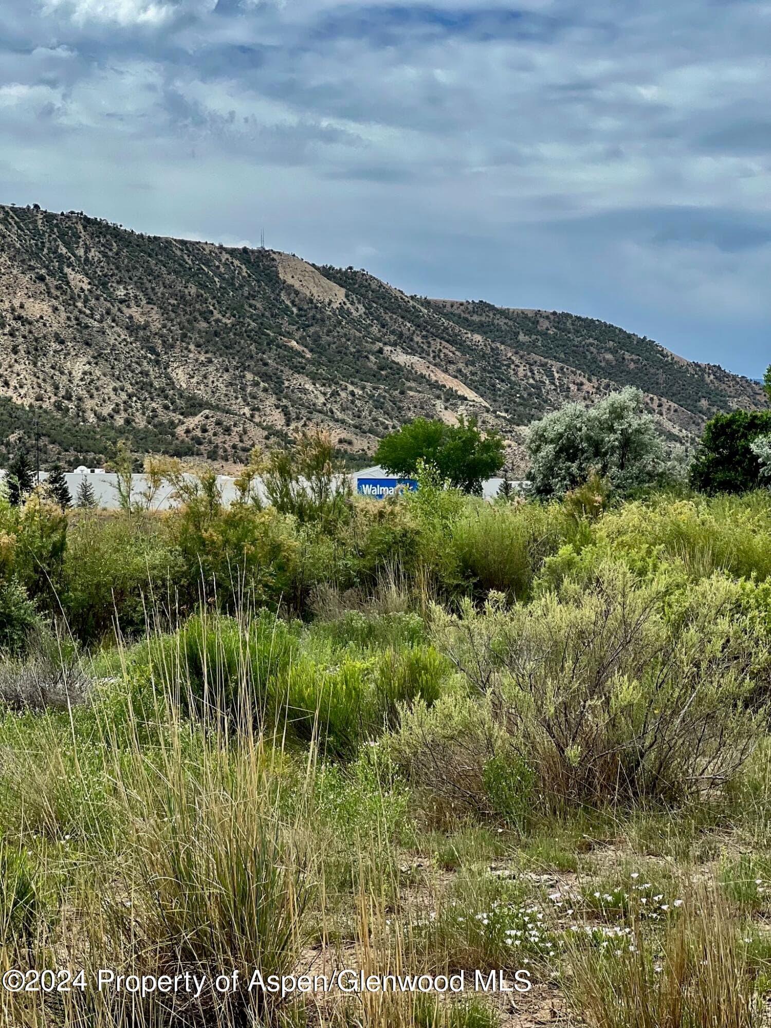 1797 N County Road 346, Rifle, CO 81650 - Photo 39