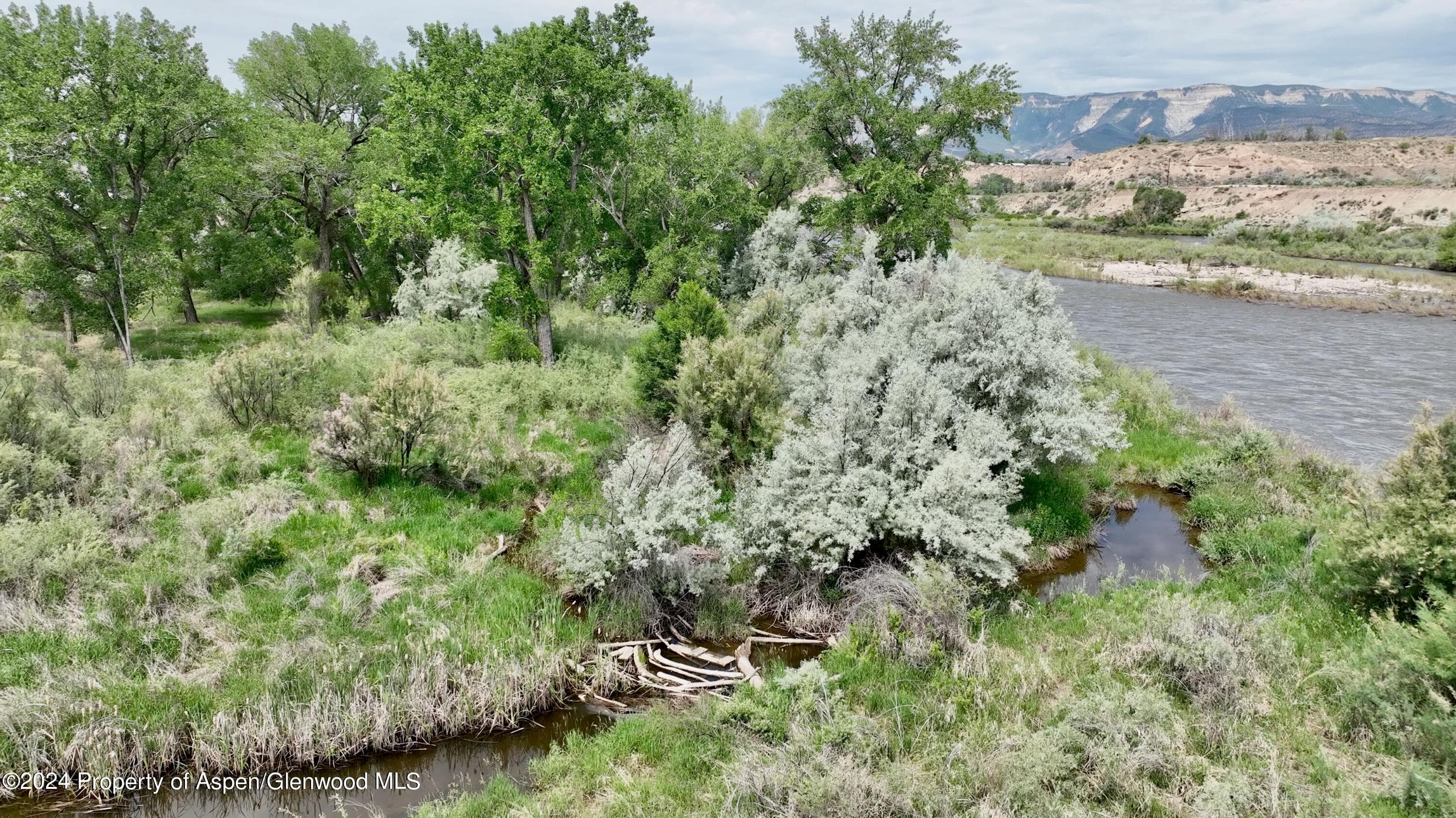 1797 N County Road 346, Rifle, CO 81650 - Photo 41