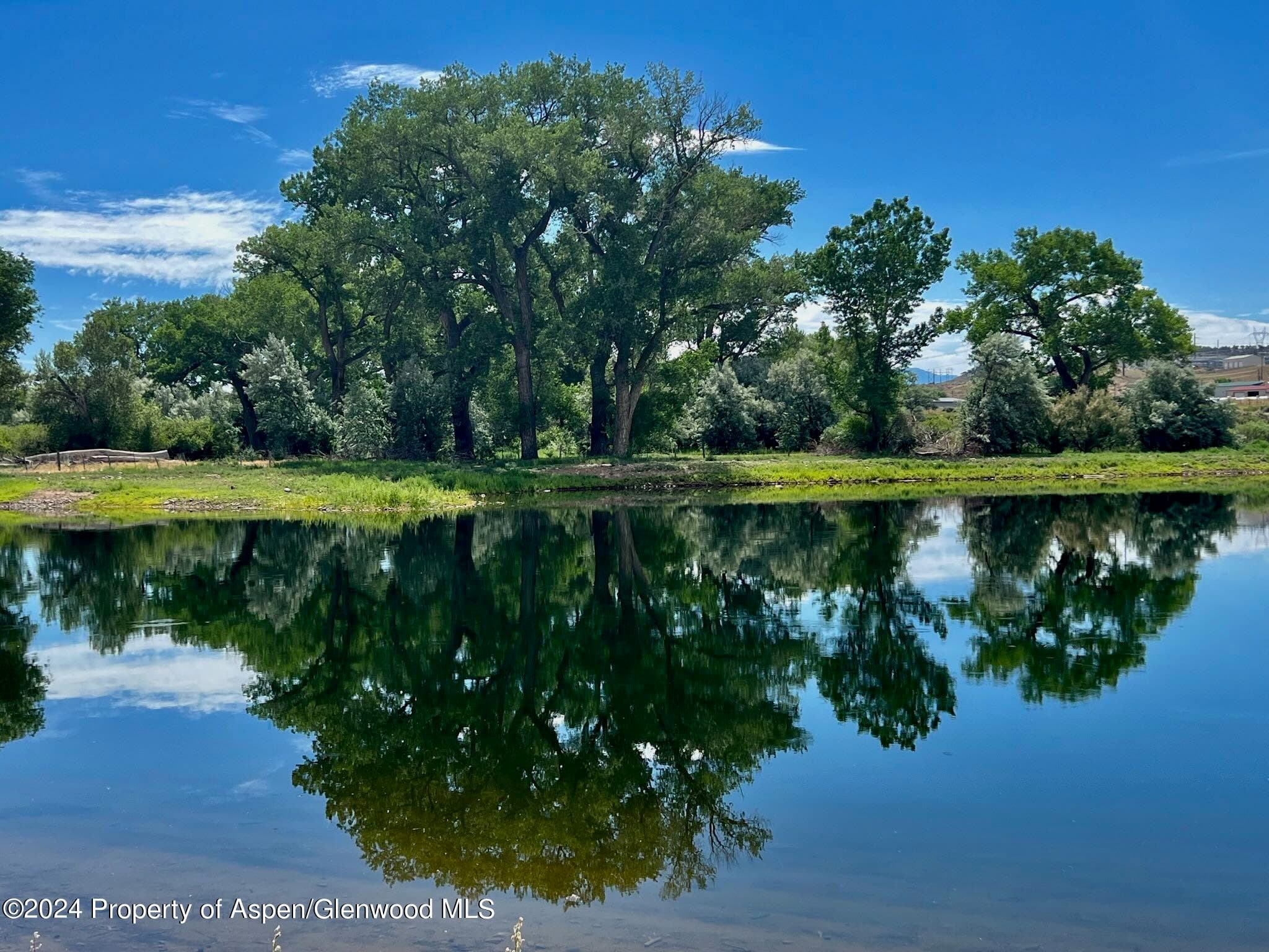 1797 N County Road 346, Rifle, CO 81650 - Photo 22