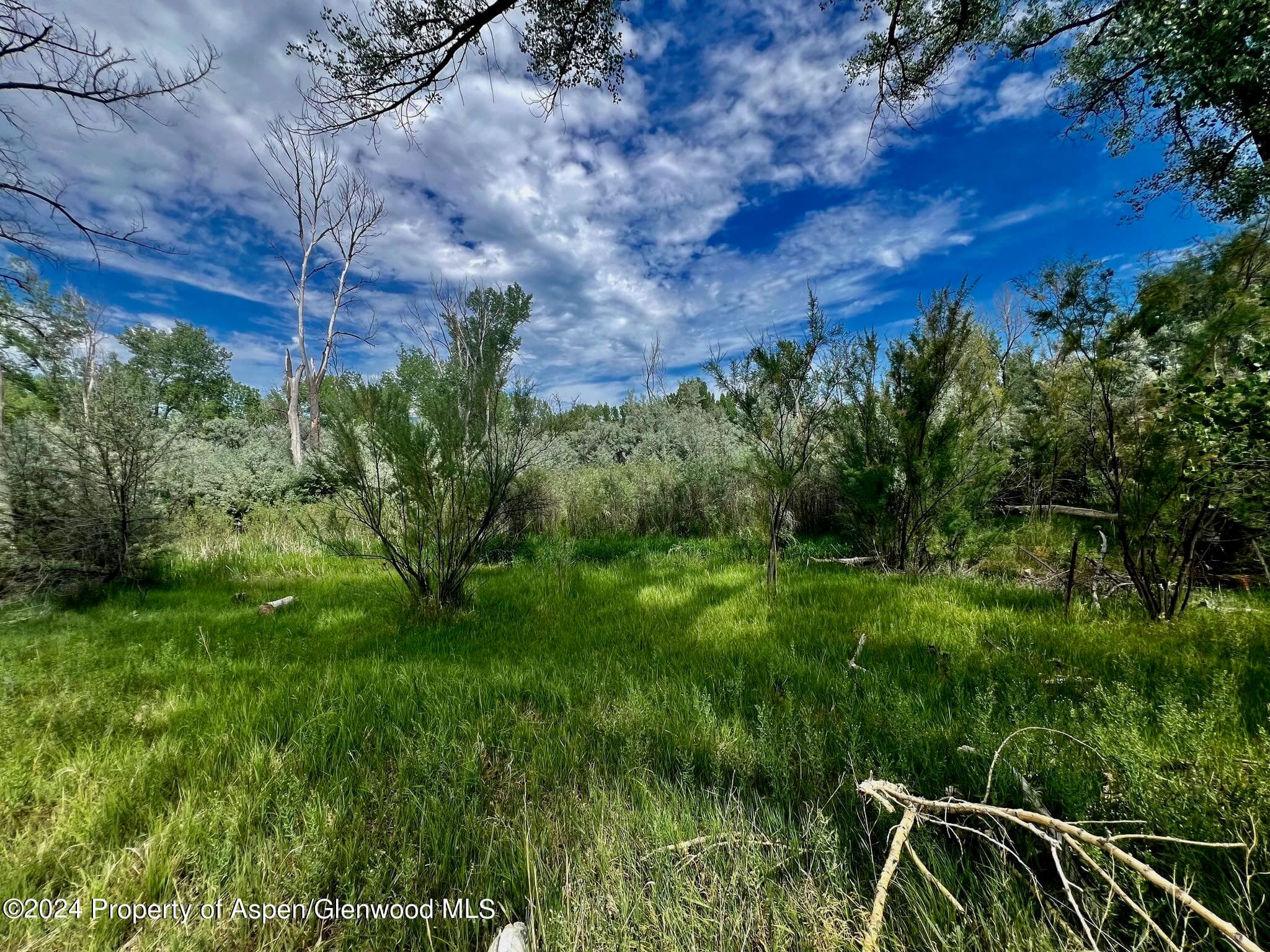 1797 N County Road 346, Rifle, CO 81650 - Photo 25