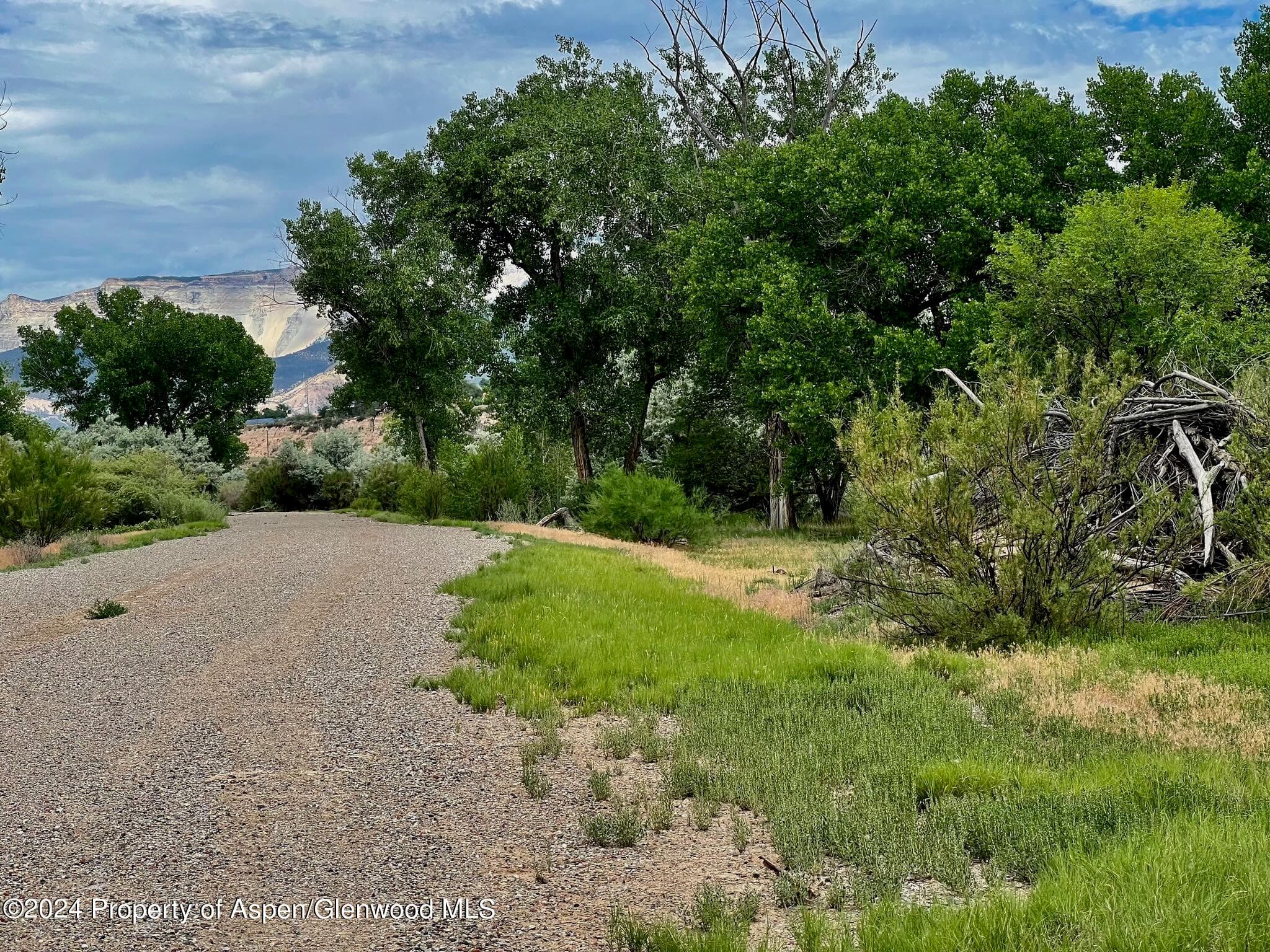 1797 N County Road 346, Rifle, CO 81650 - Photo 32