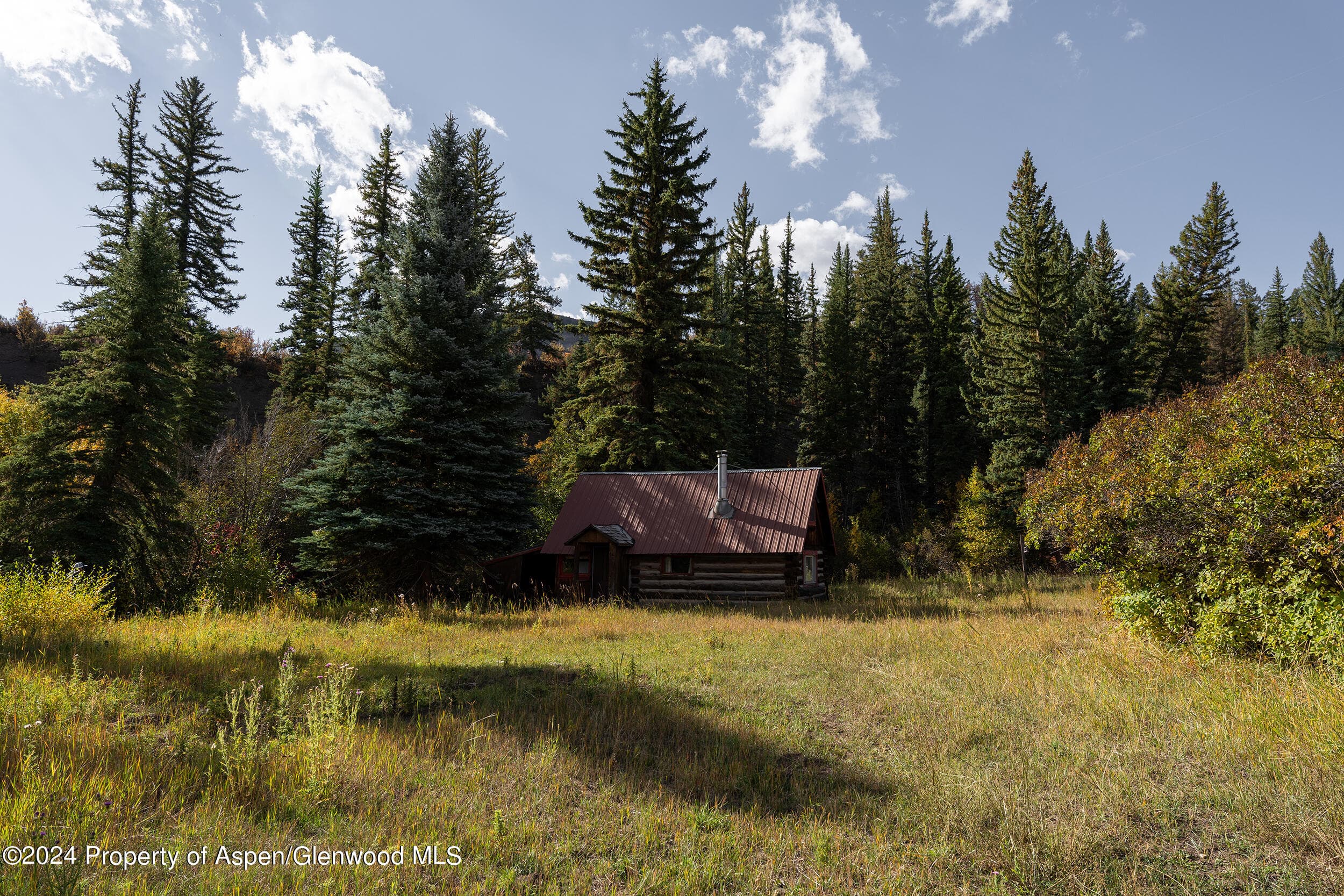 1012 Monastery Road, Snowmass, CO 81654 - Photo 51