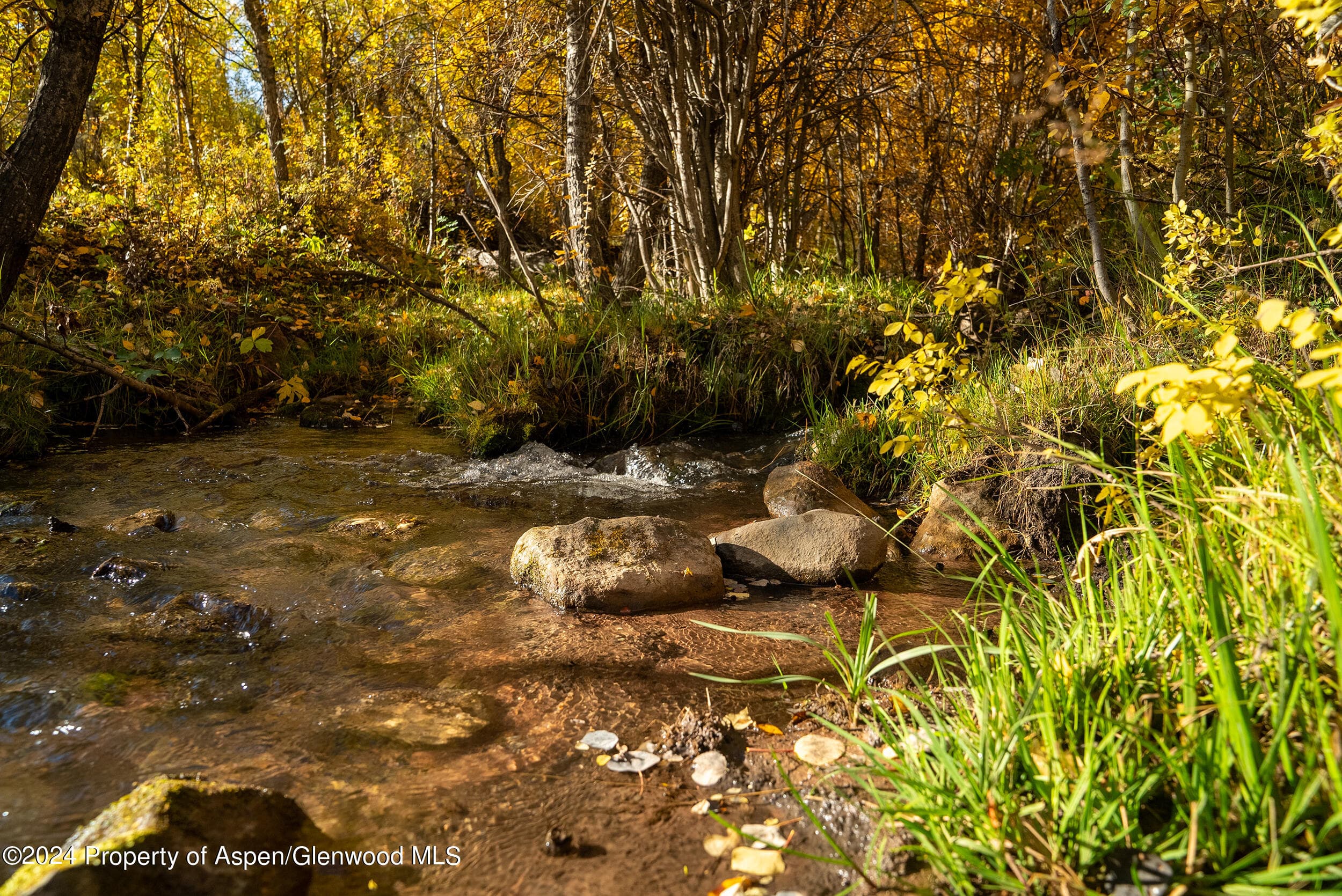 1012 Monastery Road, Snowmass, CO 81654 - Photo 46