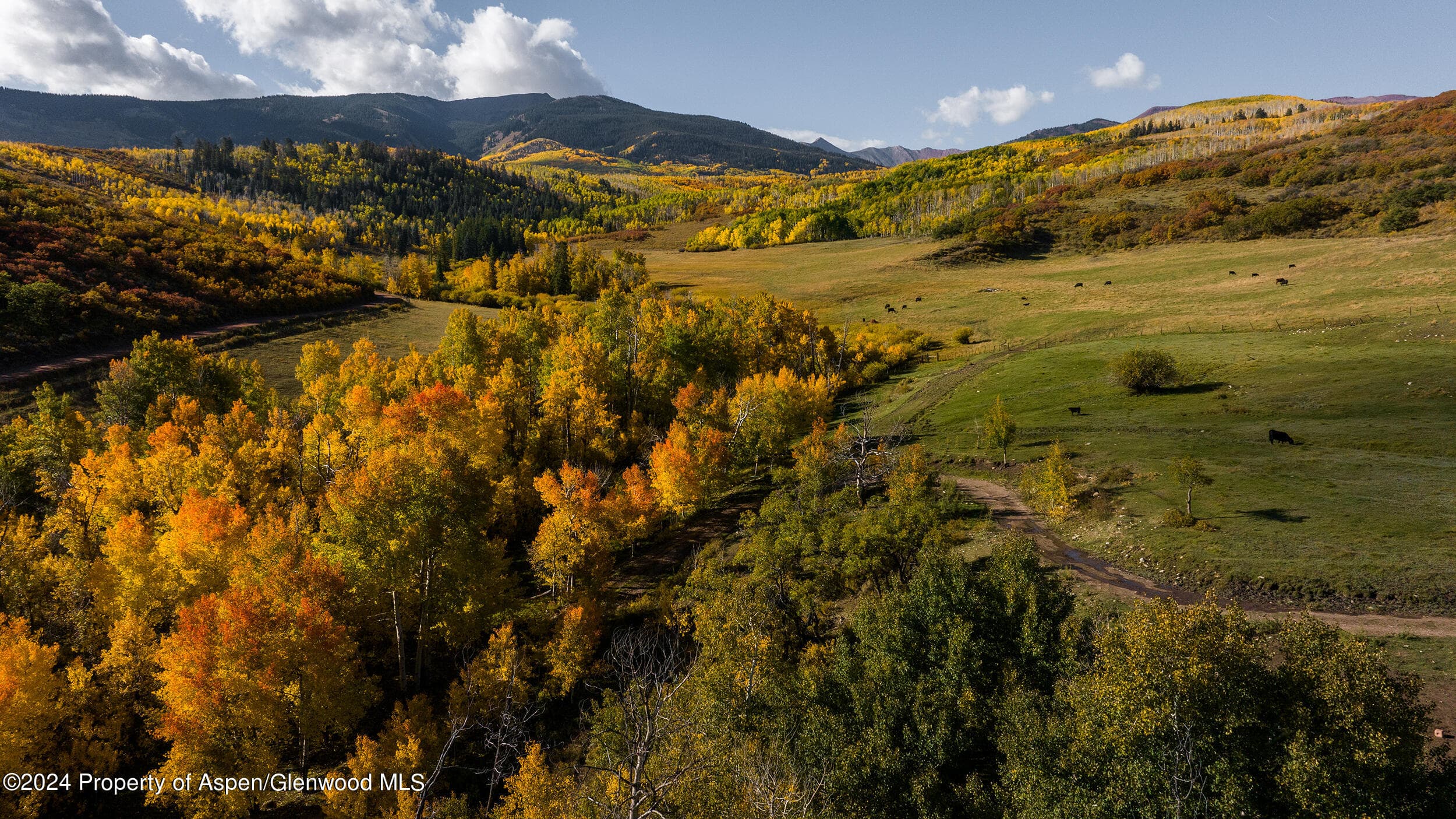 1012 Monastery Road, Snowmass, CO 81654 - Photo 38
