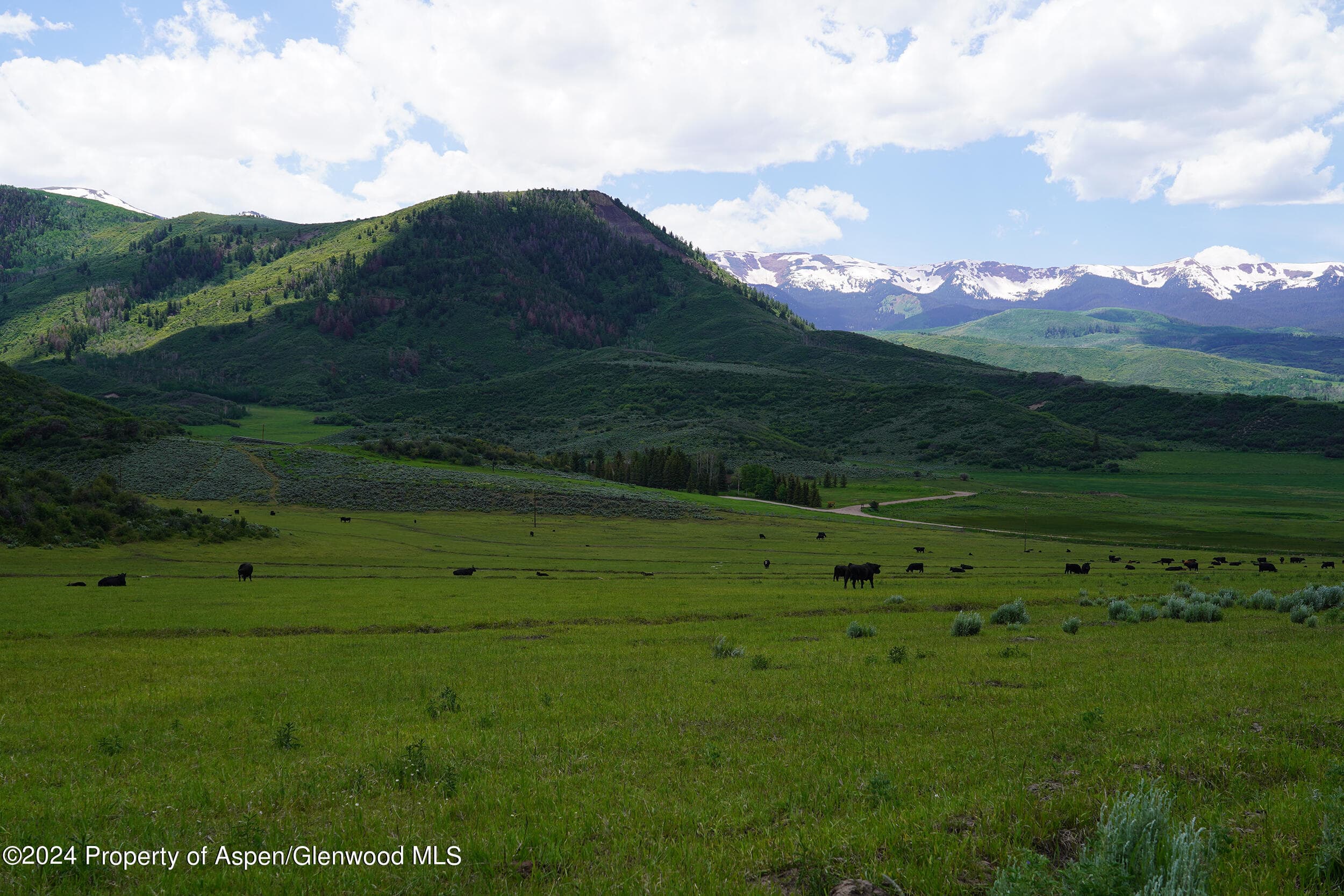 1012 Monastery Road, Snowmass, CO 81654 - Photo 15