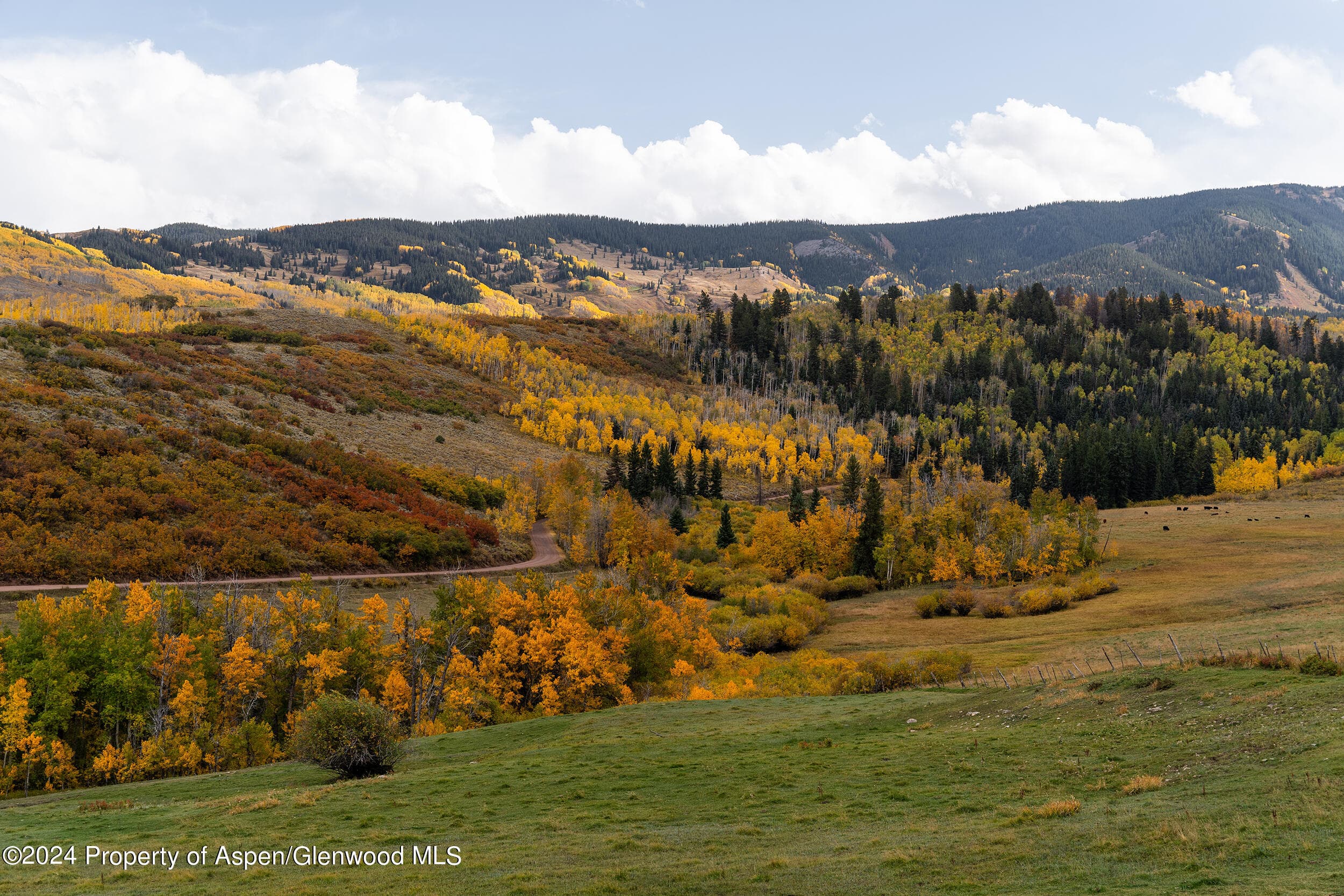 1012 Monastery Road, Snowmass, CO 81654 - Photo 68