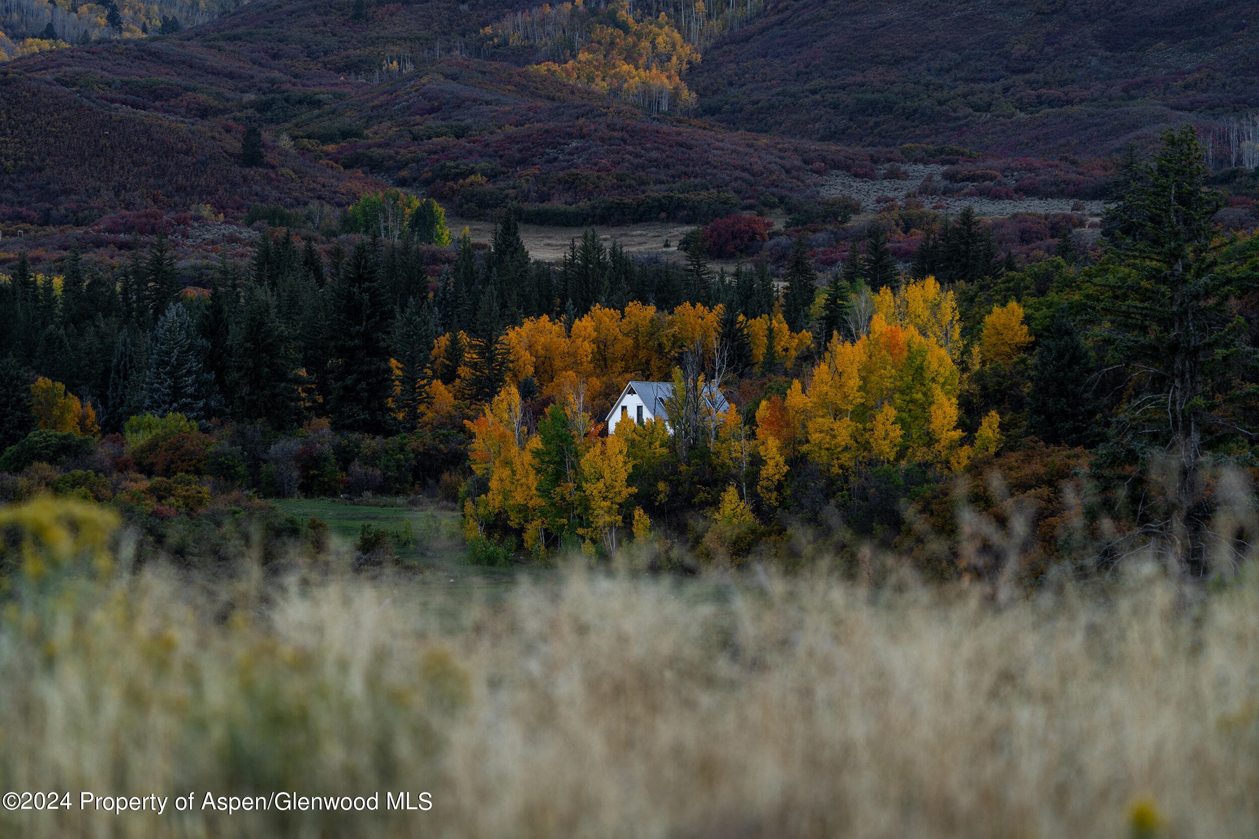 1012 Monastery Road, Snowmass, CO 81654 - Photo 41