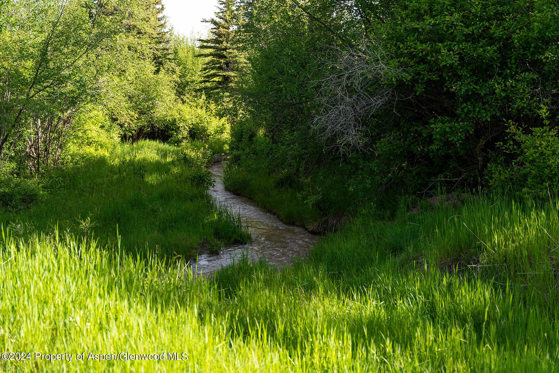 1012 Monastery Road, Snowmass, CO 81654 - Photo 45
