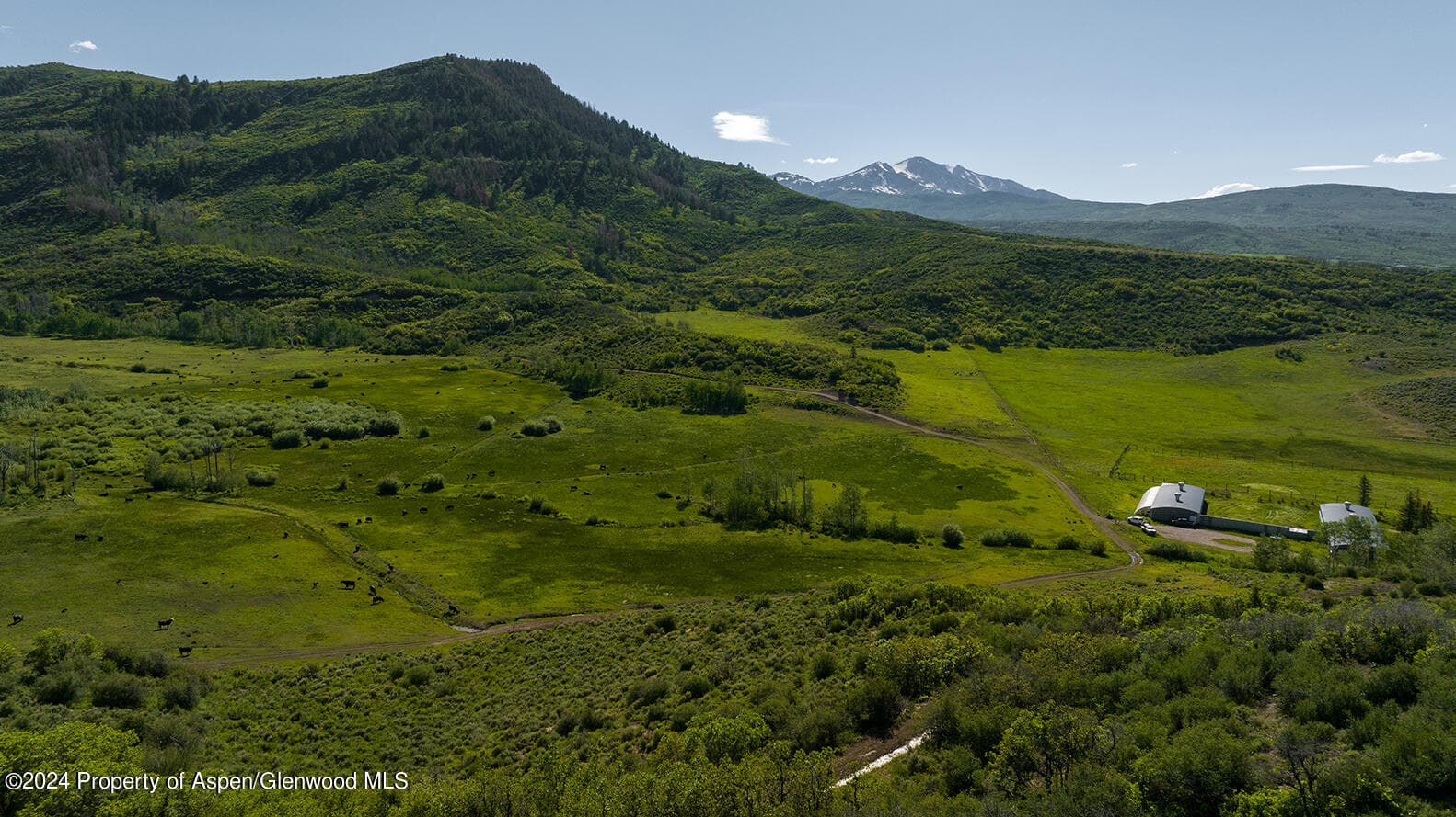 1012 Monastery Road, Snowmass, CO 81654 - Photo 86