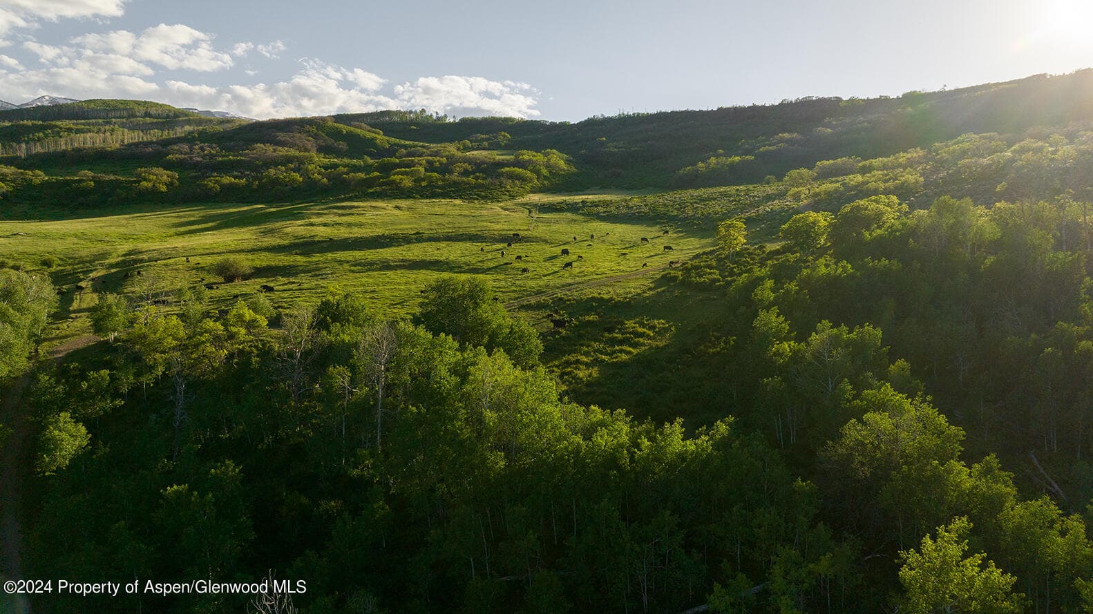 1012 Monastery Road, Snowmass, CO 81654 - Photo 37