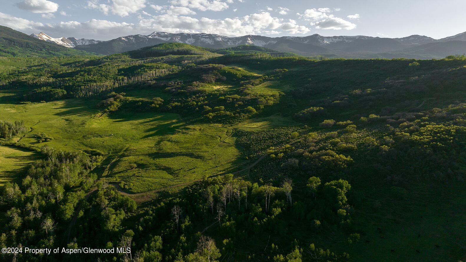 1012 Monastery Road, Snowmass, CO 81654 - Photo 39