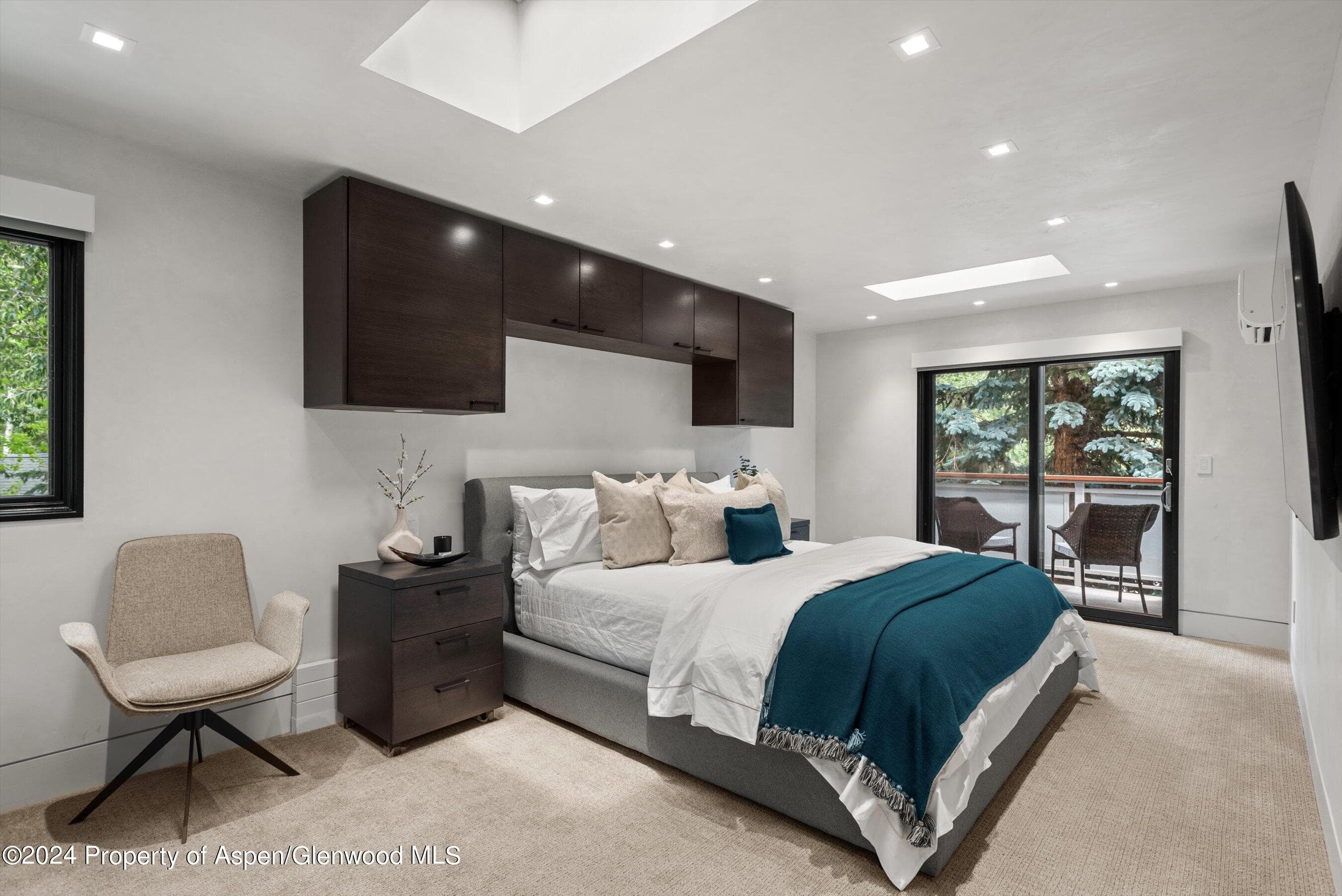 100 E Dean Street 3a, Aspen, CO 81611 - Photo 12