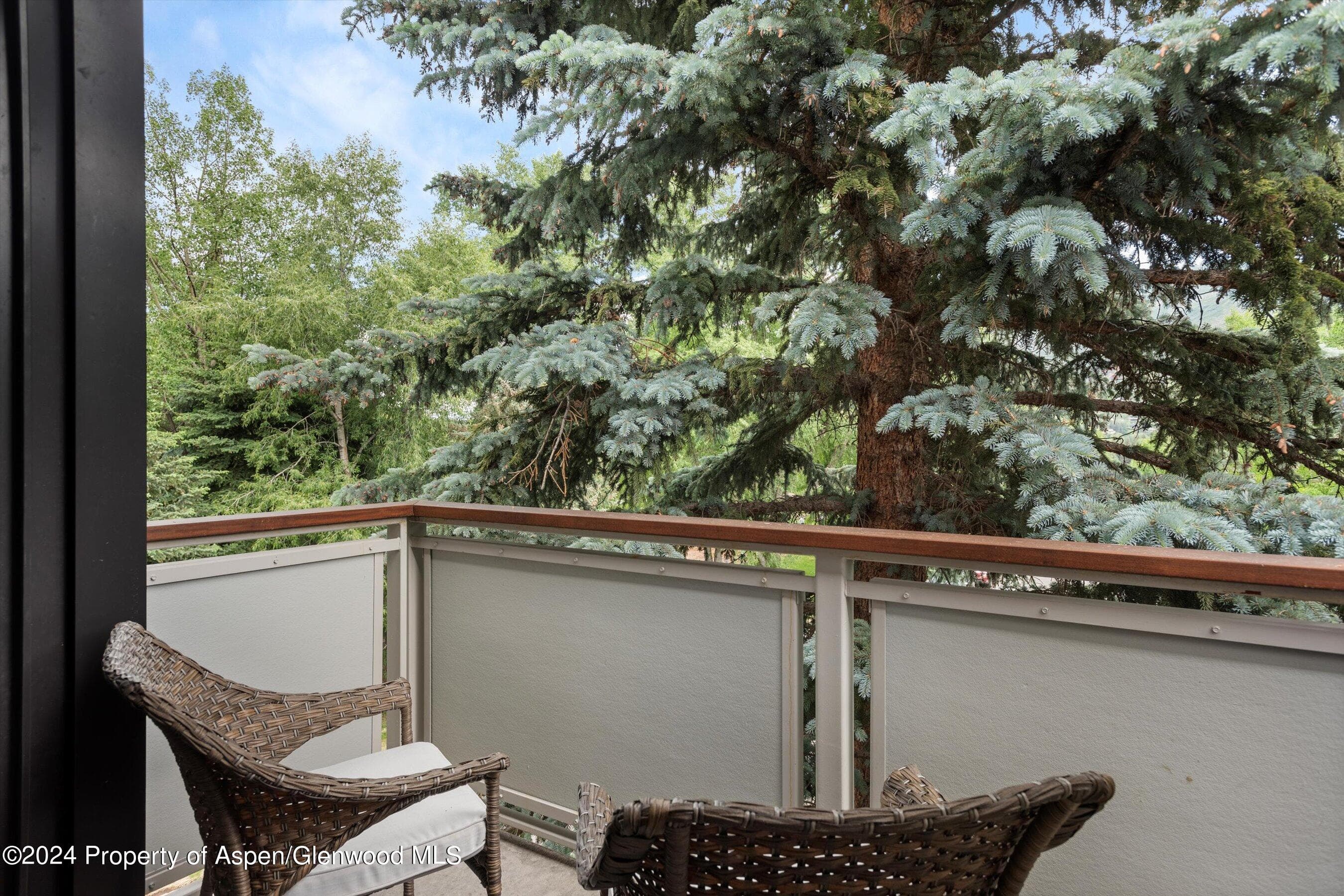 100 E Dean Street 3a, Aspen, CO 81611 - Photo 14