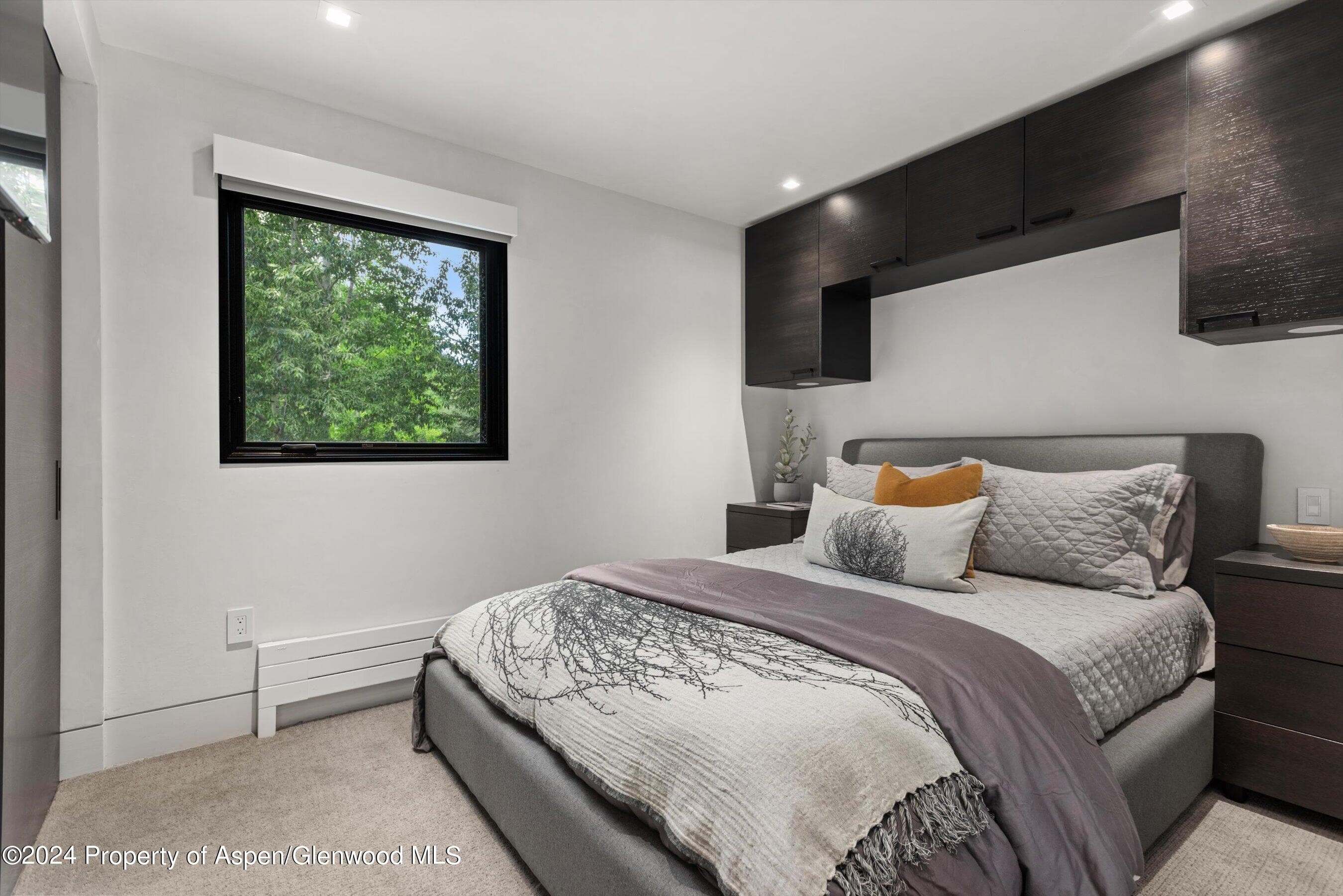 100 E Dean Street 3a, Aspen, CO 81611 - Photo 17